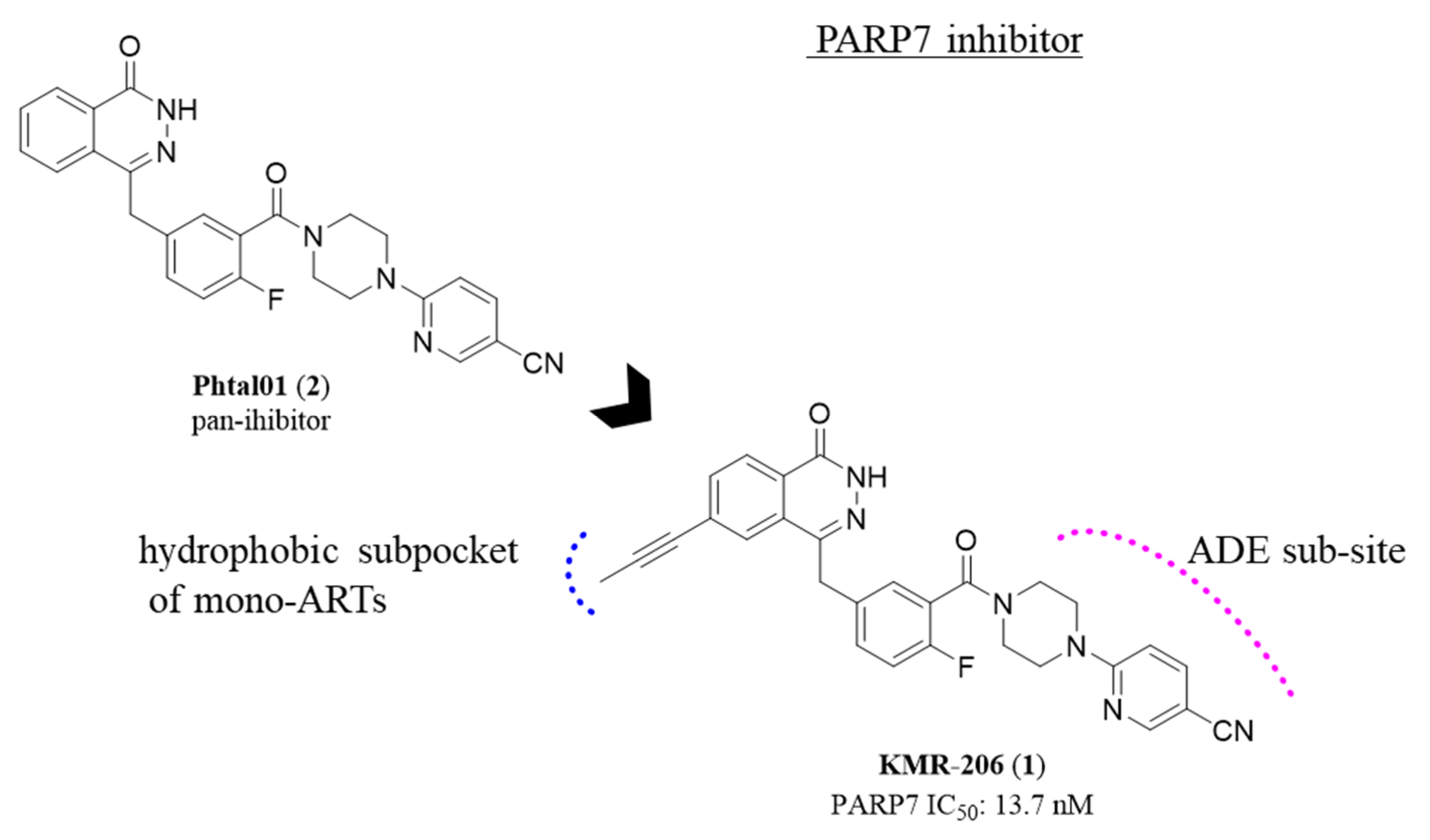 Medicinal Chemistry Perspective on Targeting Mono-ADP-Ribosylating PARPs  with Small Molecules