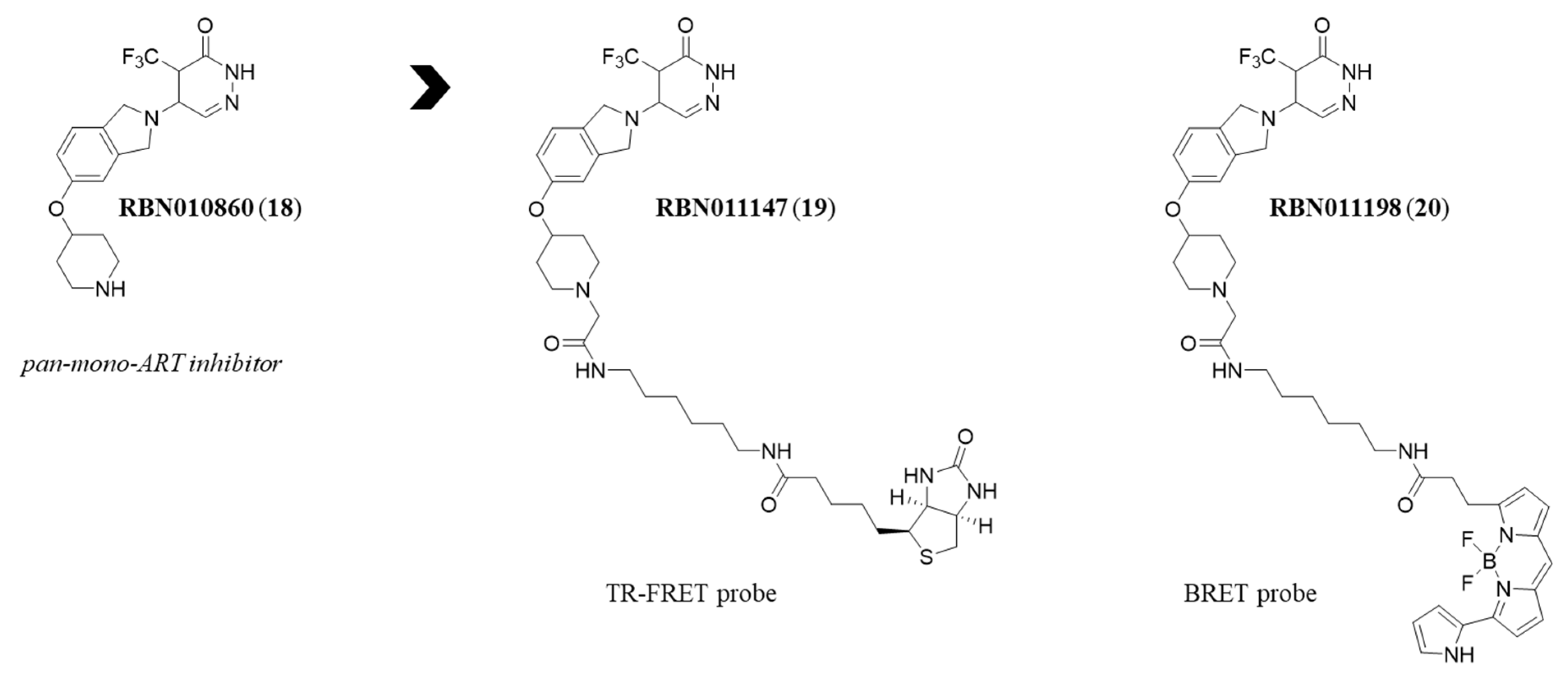 Medicinal Chemistry Perspective on Targeting Mono-ADP-Ribosylating PARPs  with Small Molecules