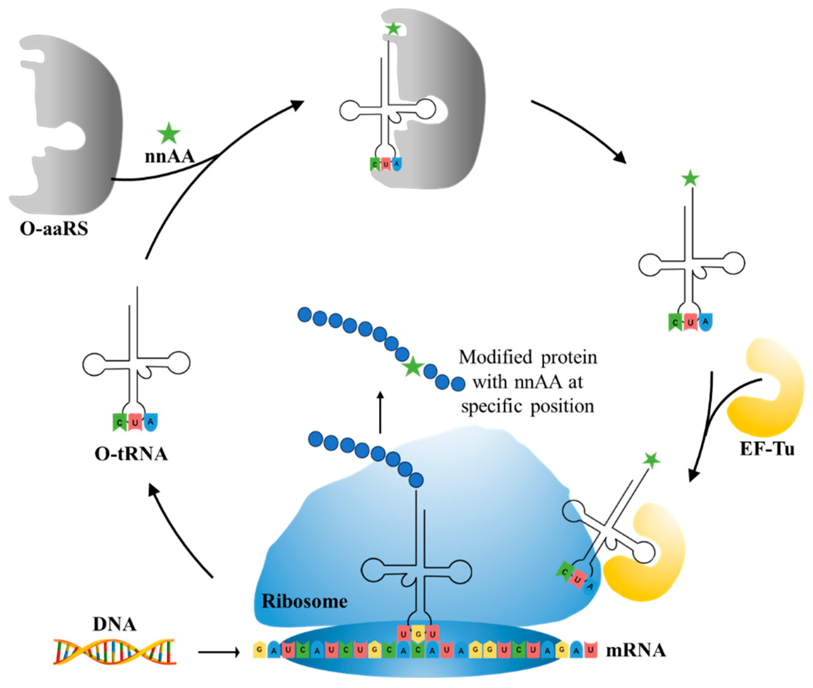 Molecules 28 05850 g009 Molecules 28 05850 g009