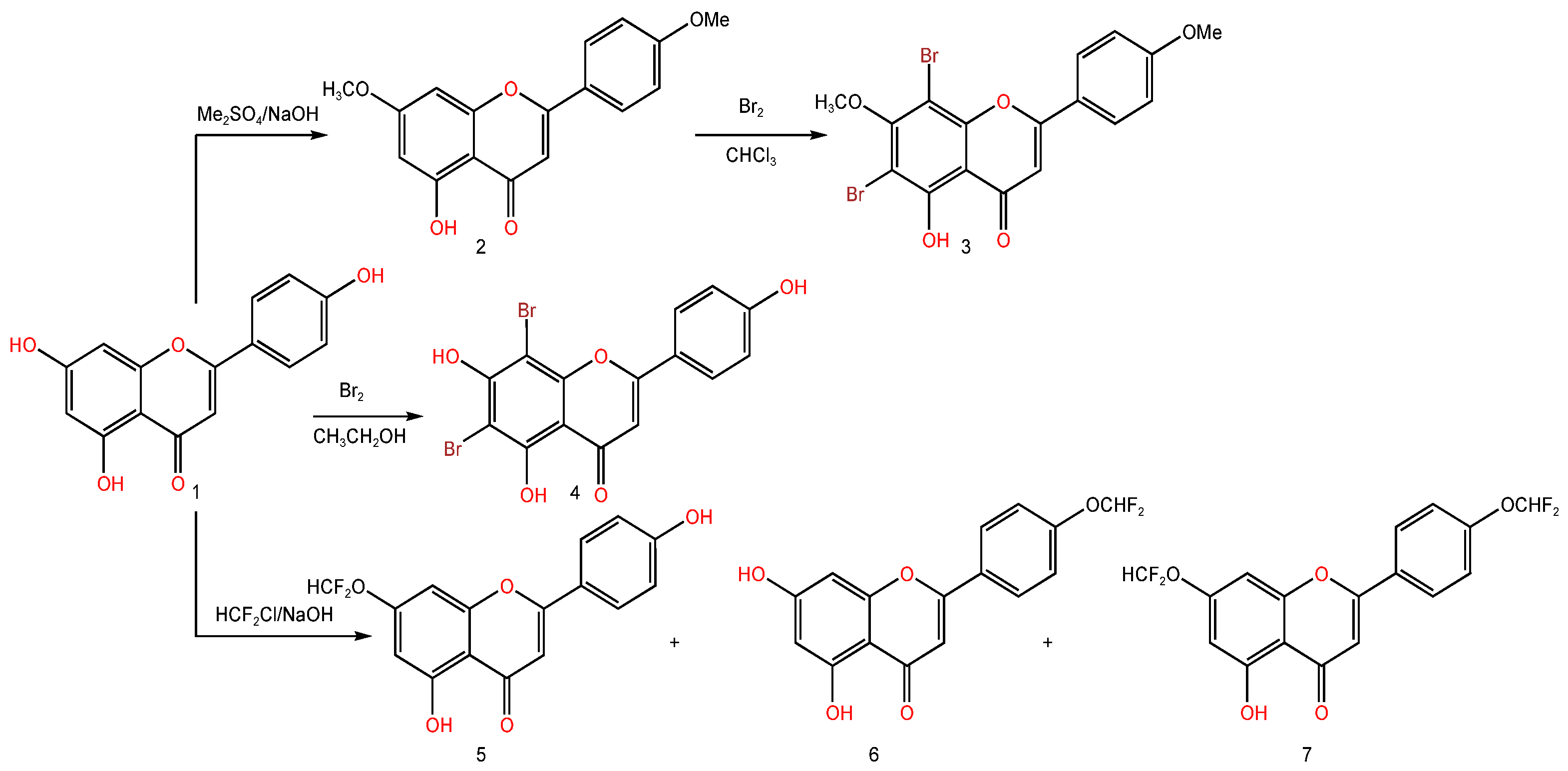 Molecules 28 05855 sch001 Molecules 28 05855 sch001