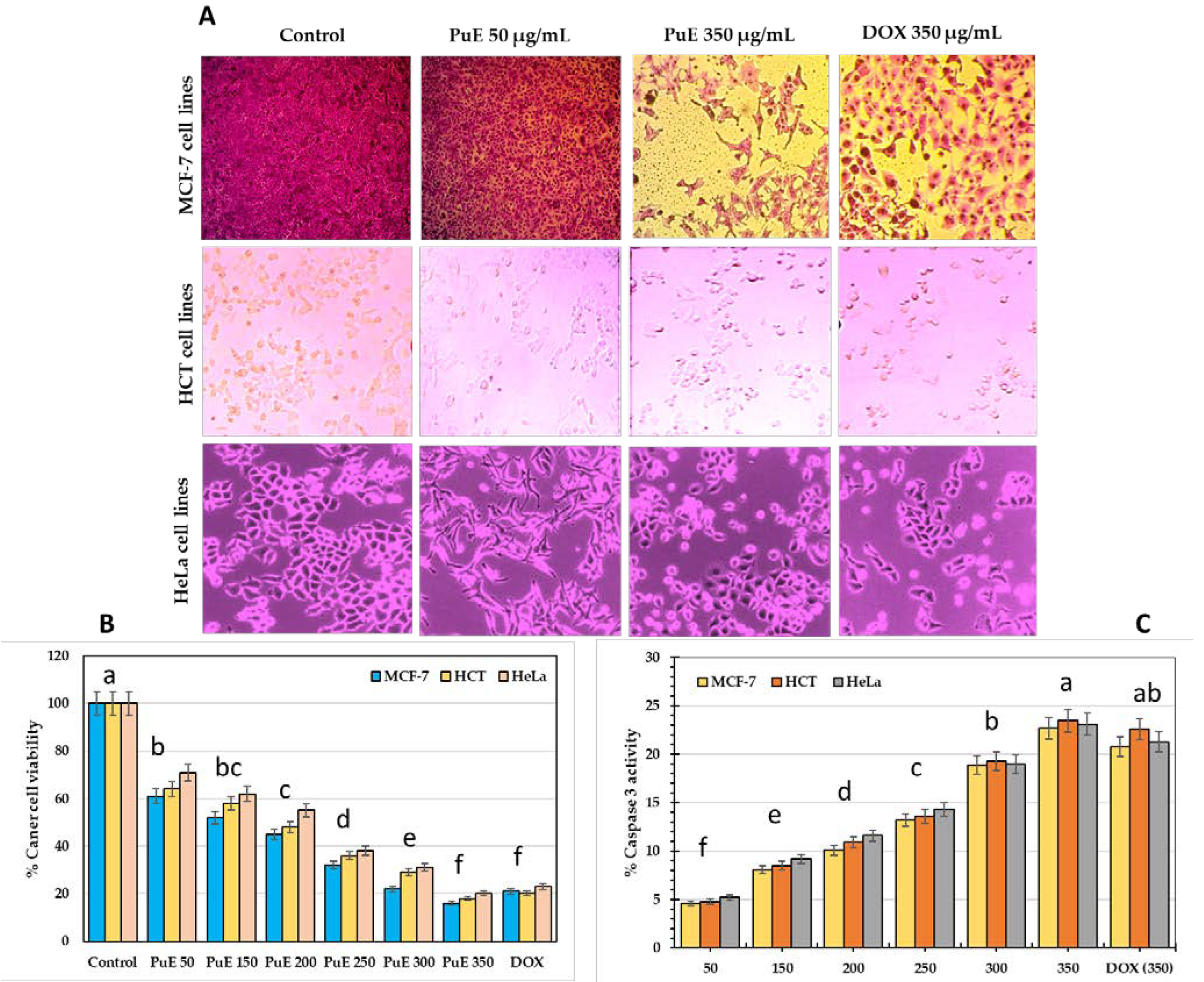 Molecules 28 05859 g002