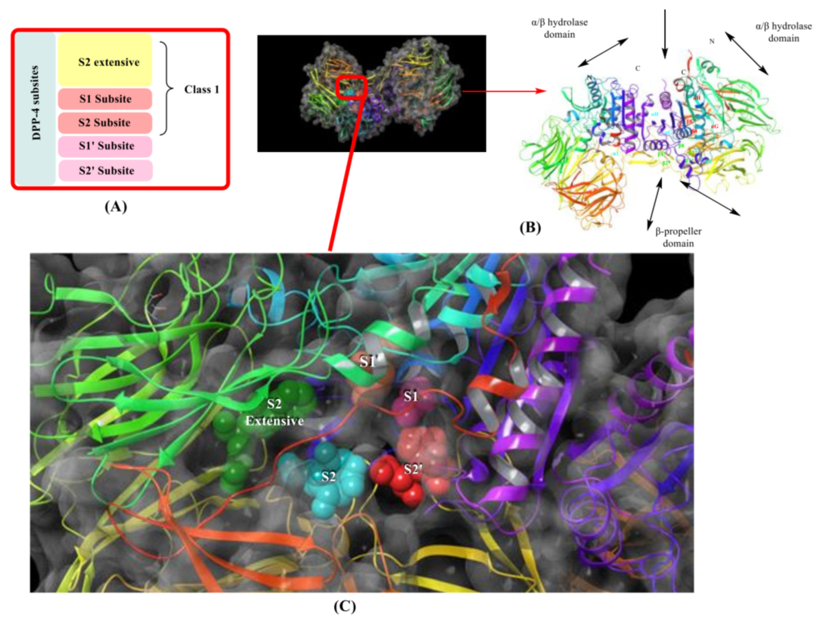 Molecules 28 05860 g003 Molecules 28 05860 g003