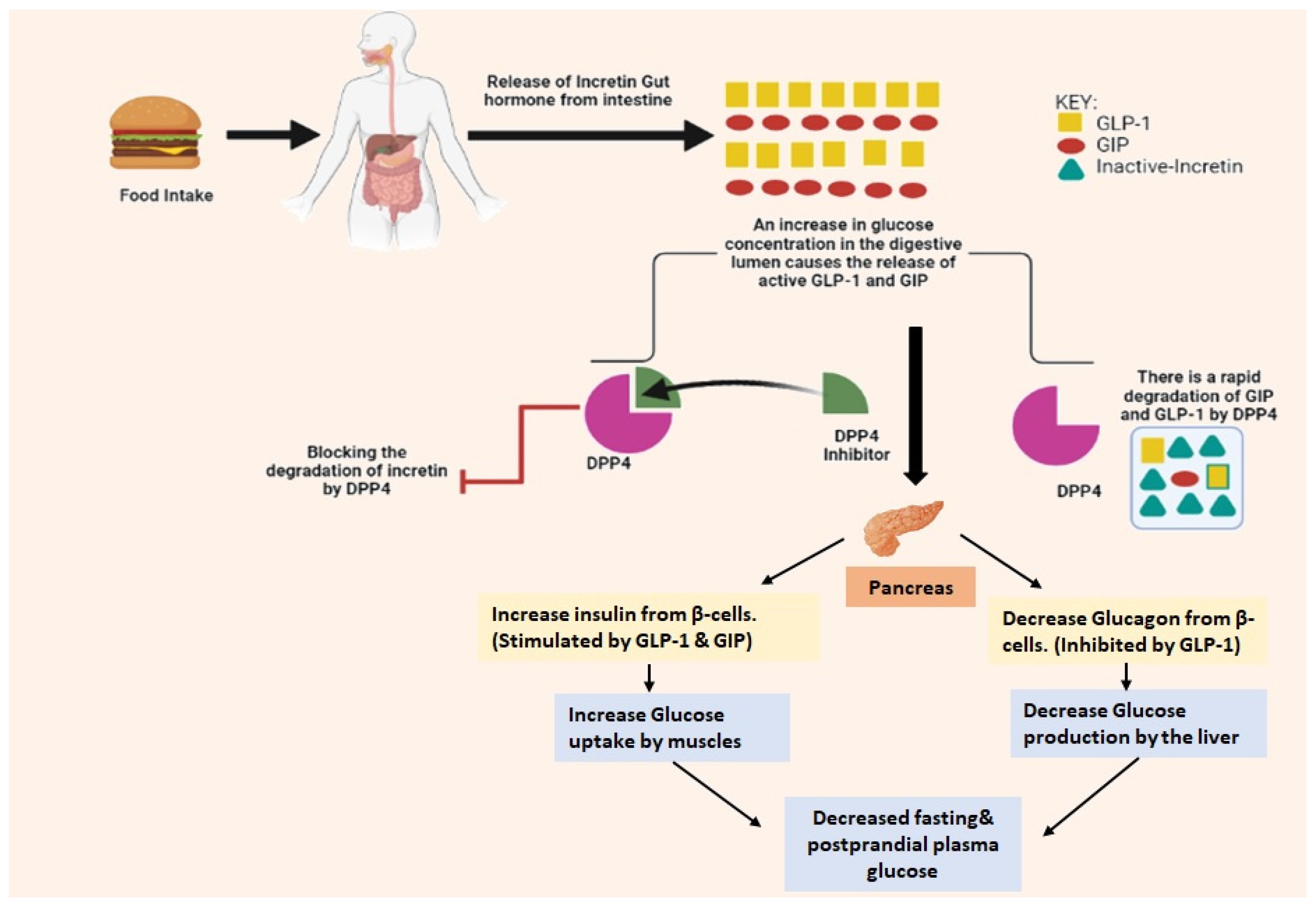 Molecules 28 05860 g005 Molecules 28 05860 g005