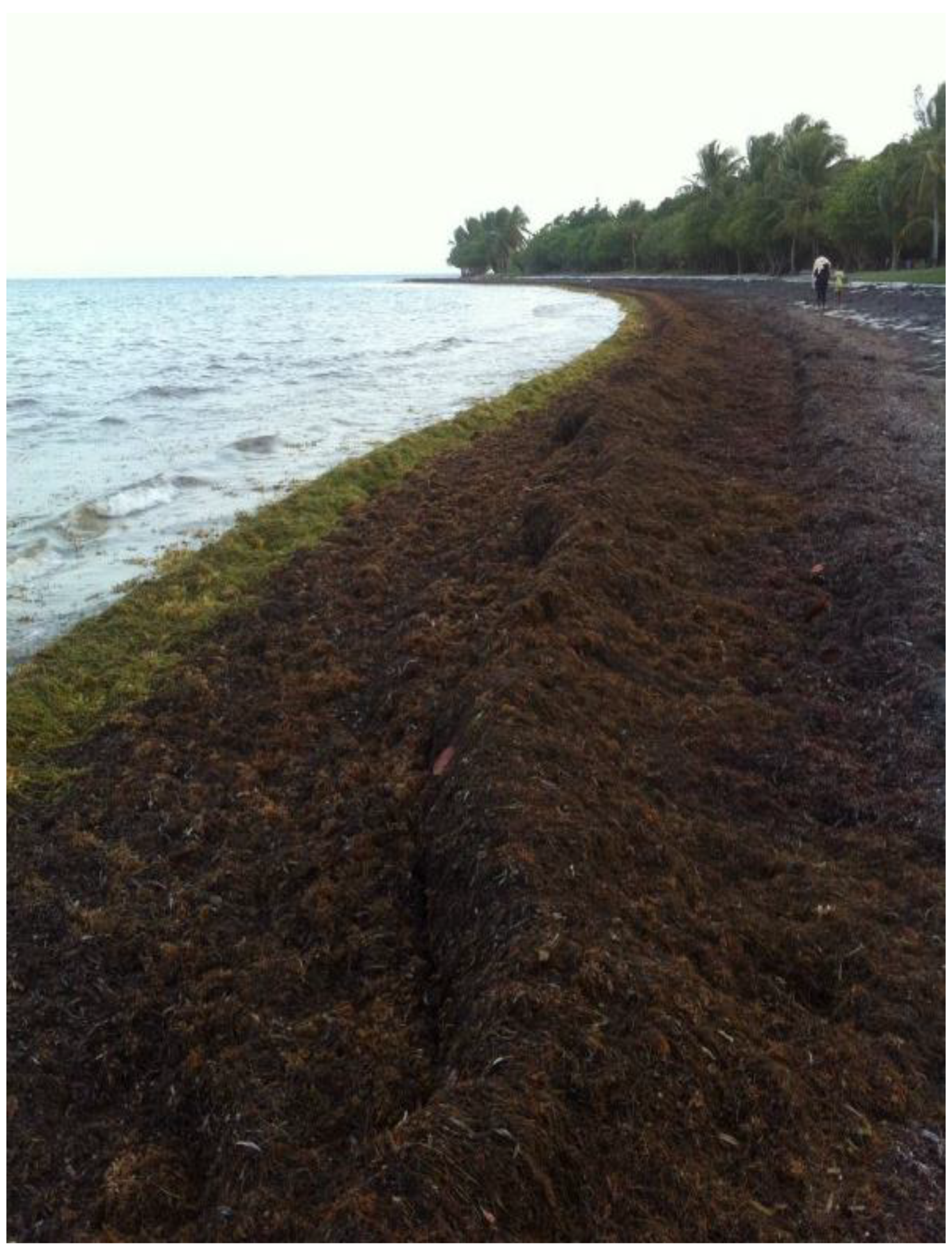 Molecules 28 05882 g001