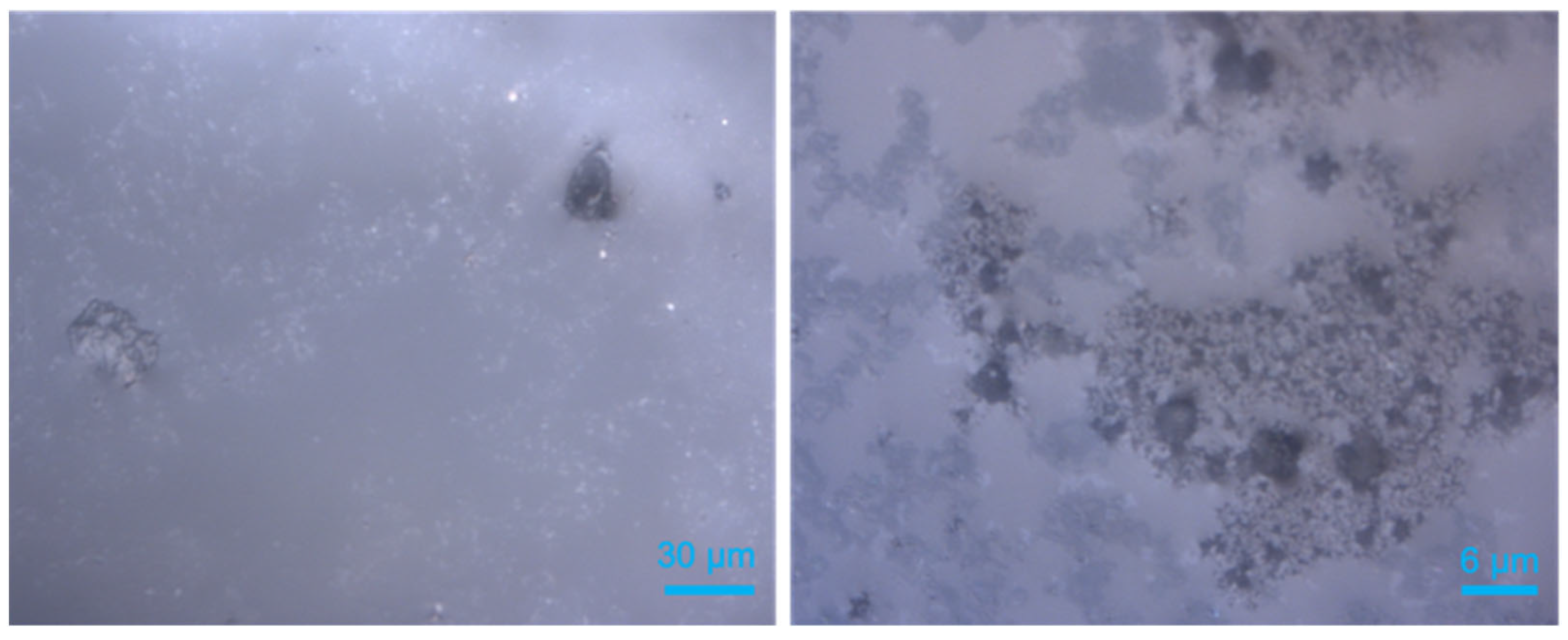 Molecules 28 05887 g011 Molecules 28 05887 g011