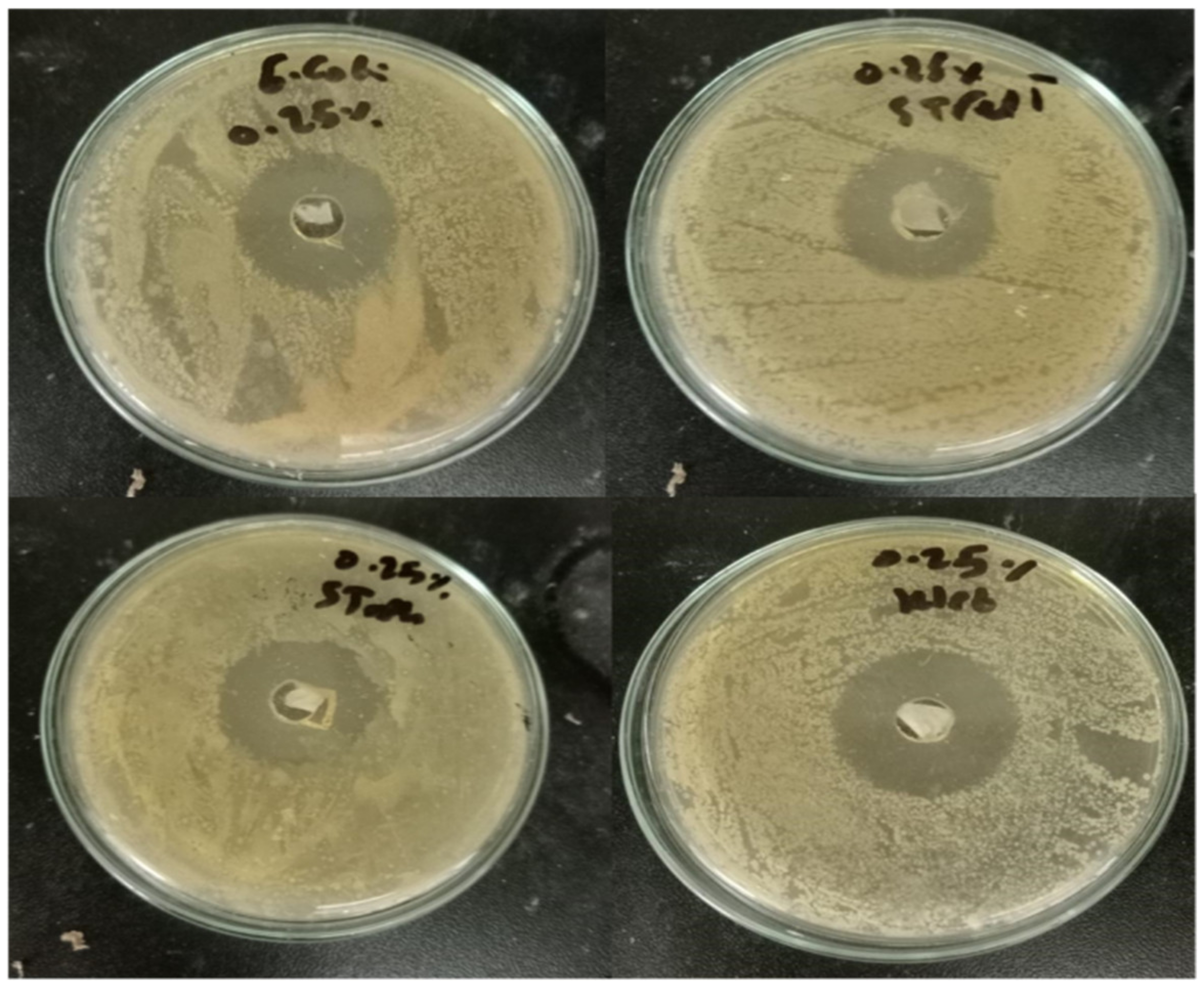 Molecules 28 05900 g011