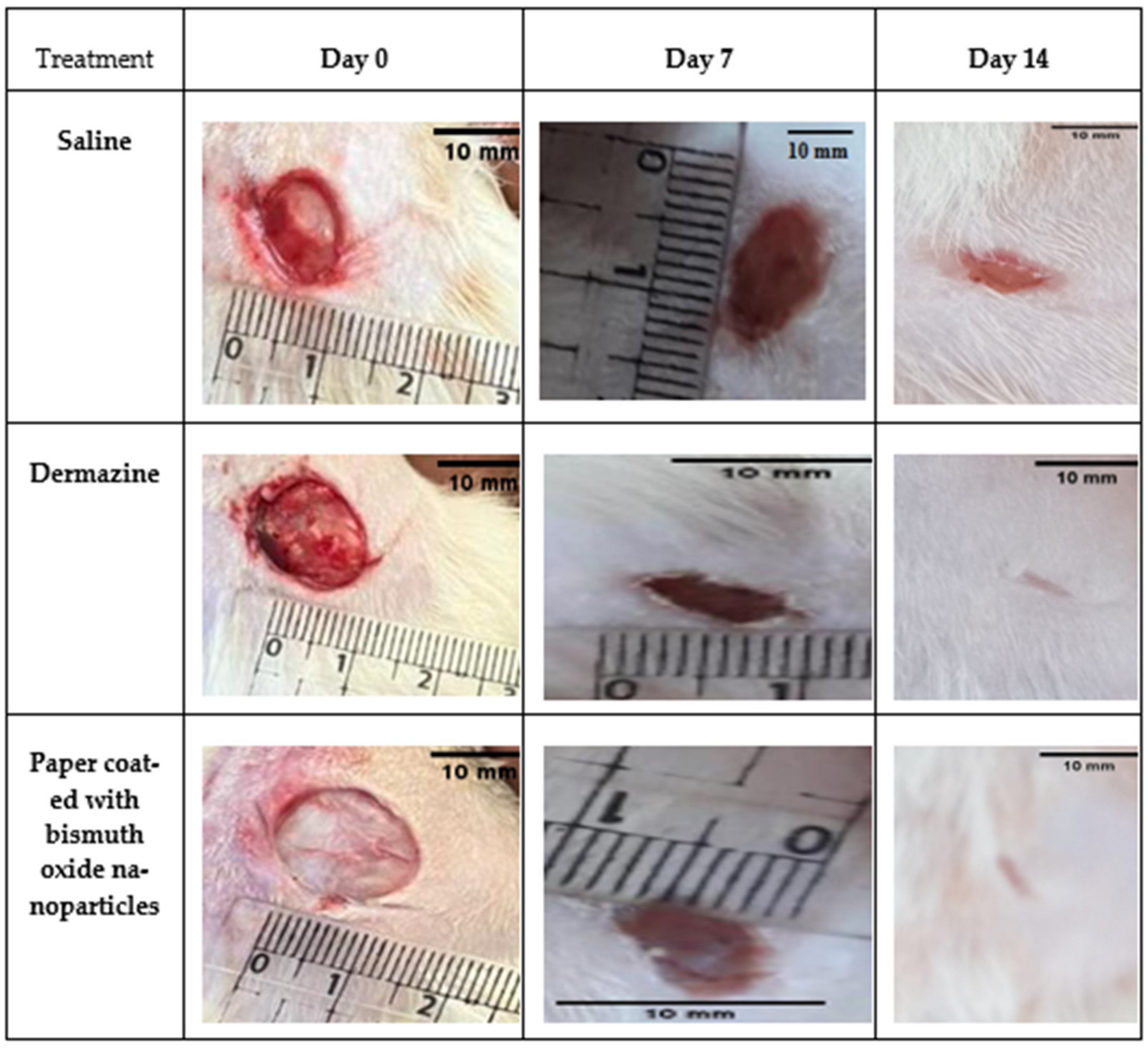Molecules 28 05900 g012