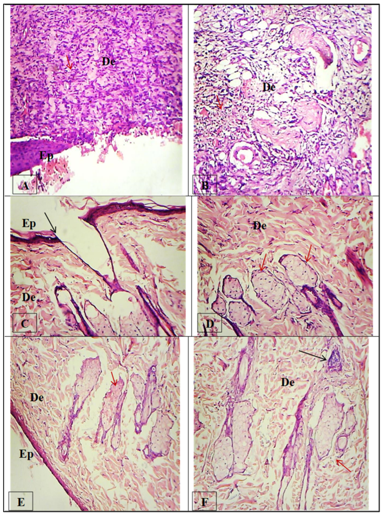 Molecules 28 05900 g013
