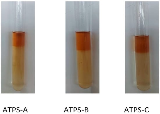 Purification of Coffee Polyphenols Extracted from Coffee Pulps (Coffee ...