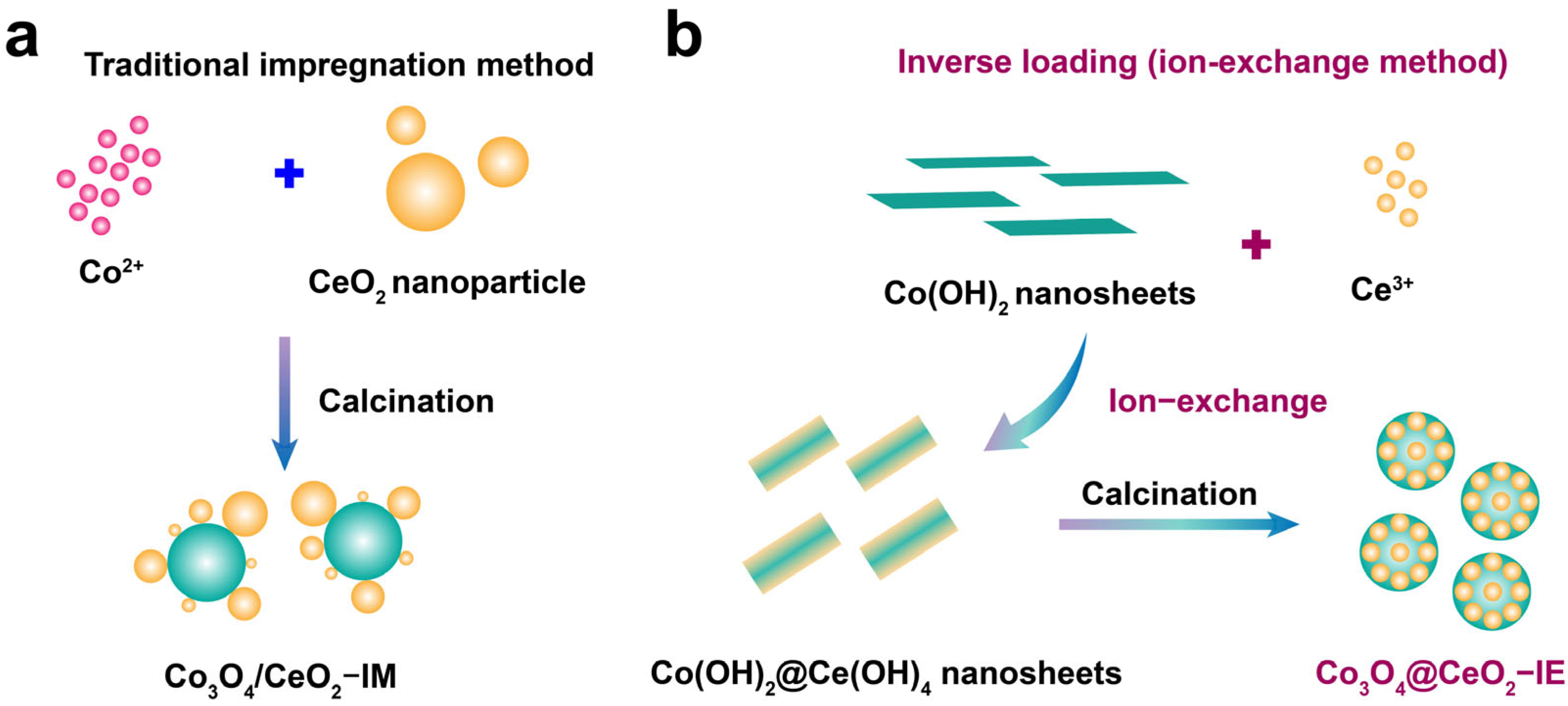 Molecules 28 05930 g001