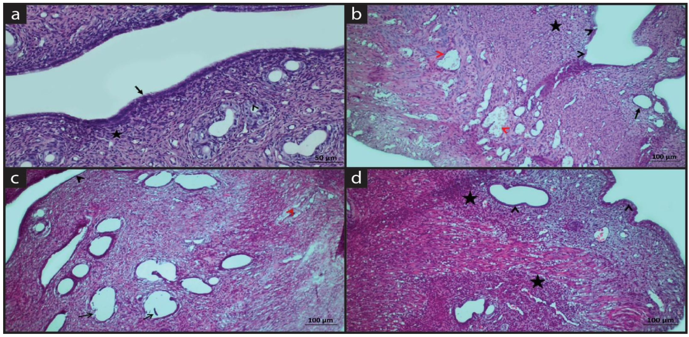 Molecules 28 05945 g001 Molecules 28 05945 g001