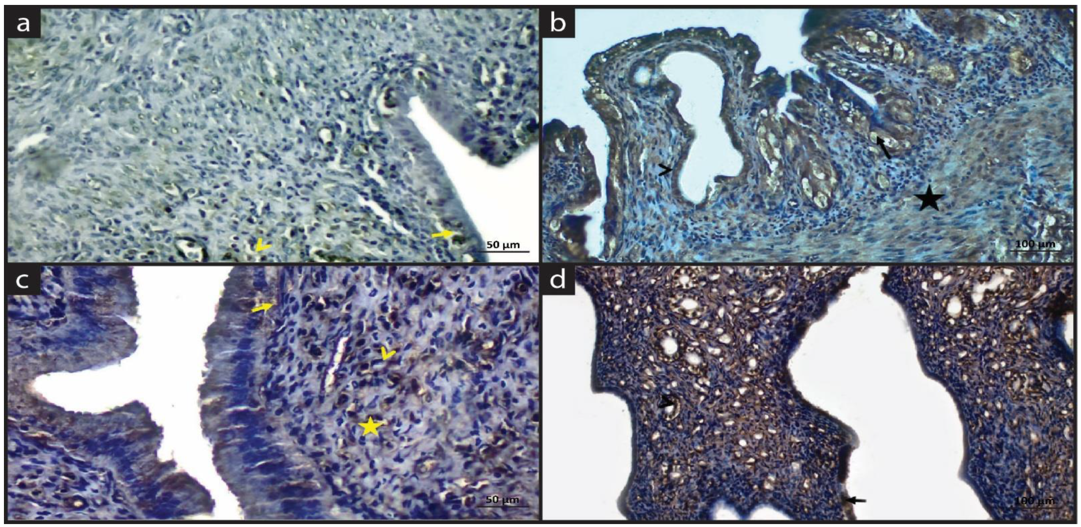 Molecules 28 05945 g002 Molecules 28 05945 g002
