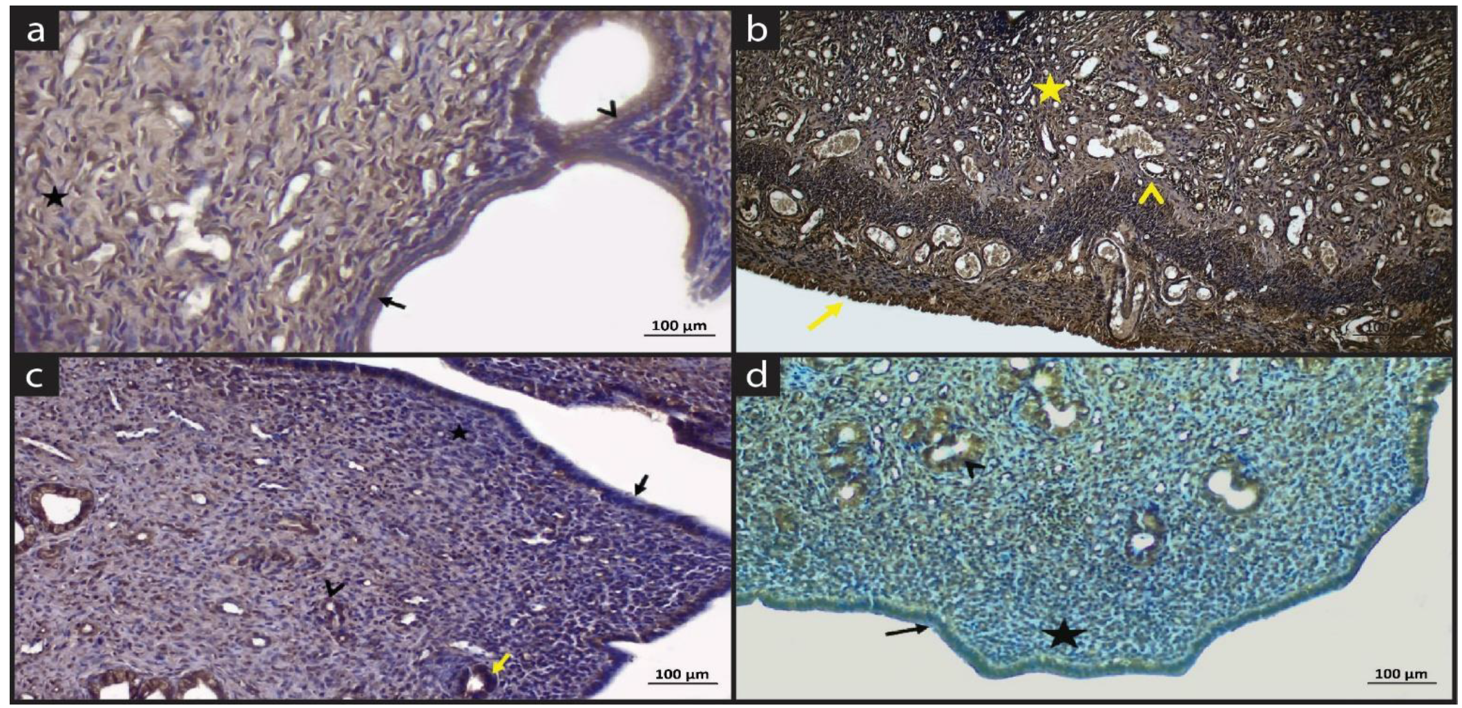 Molecules 28 05945 g003 Molecules 28 05945 g003