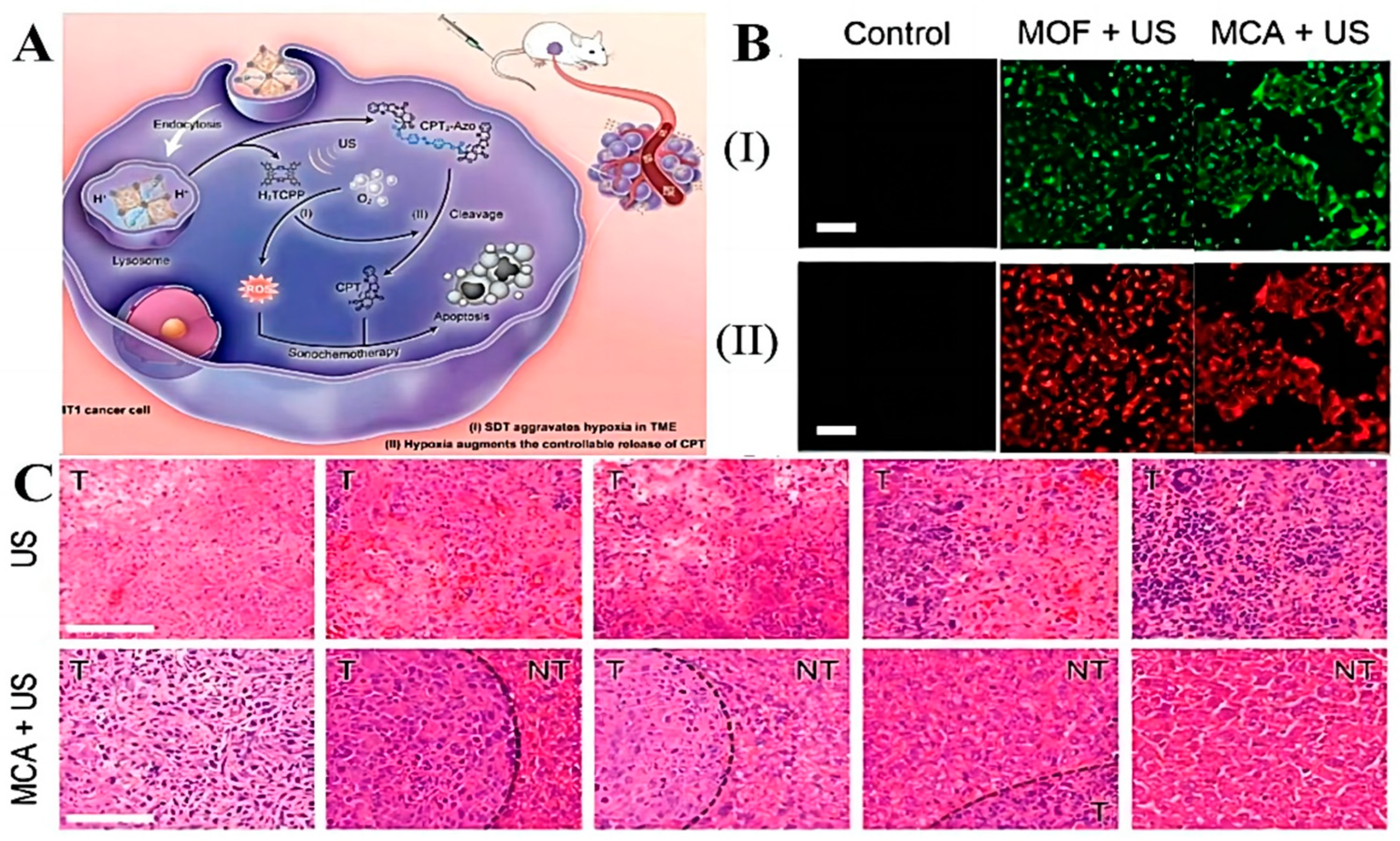 Molecules 28 05955 g007 Molecules 28 05955 g007
