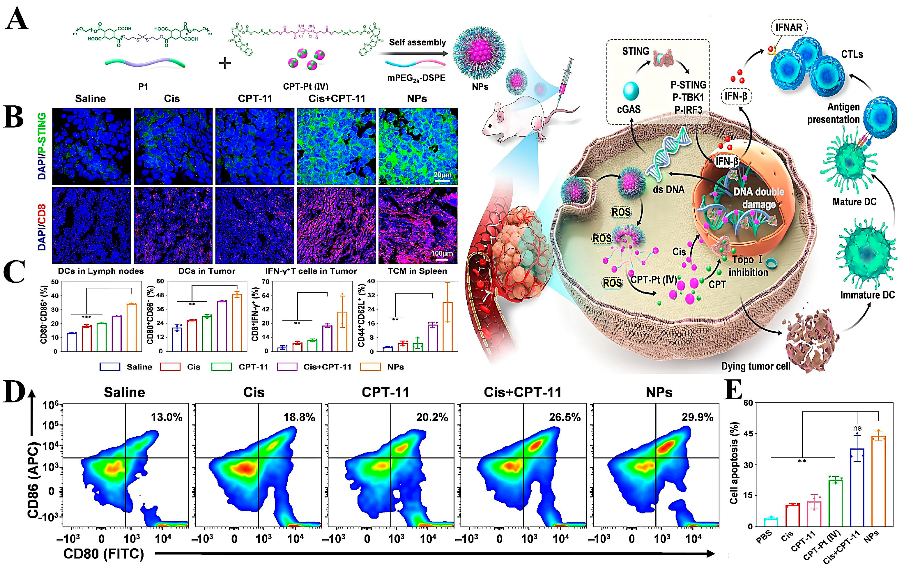 Molecules 28 05955 g008 Molecules 28 05955 g008