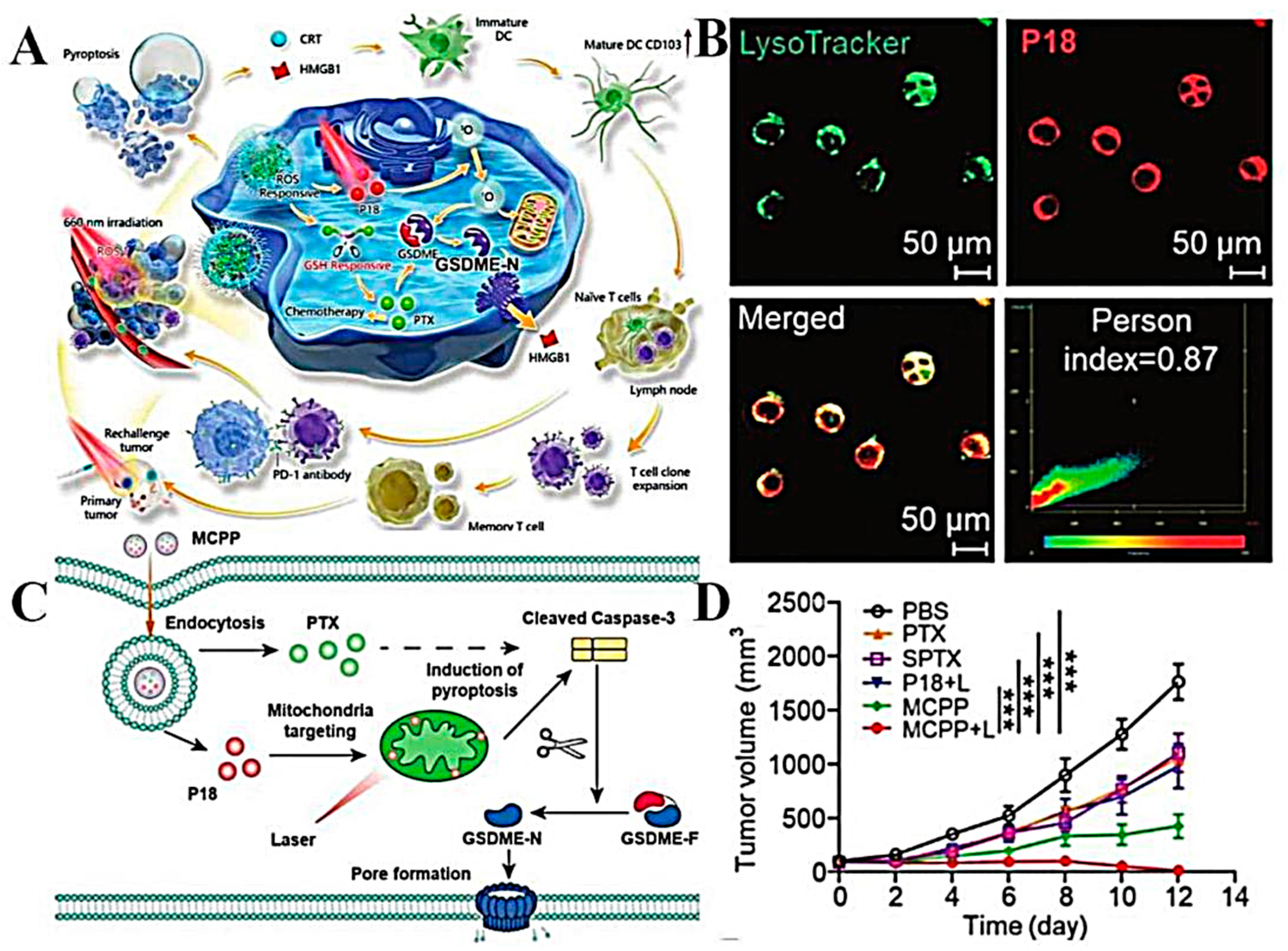 Molecules 28 05955 g009 Molecules 28 05955 g009