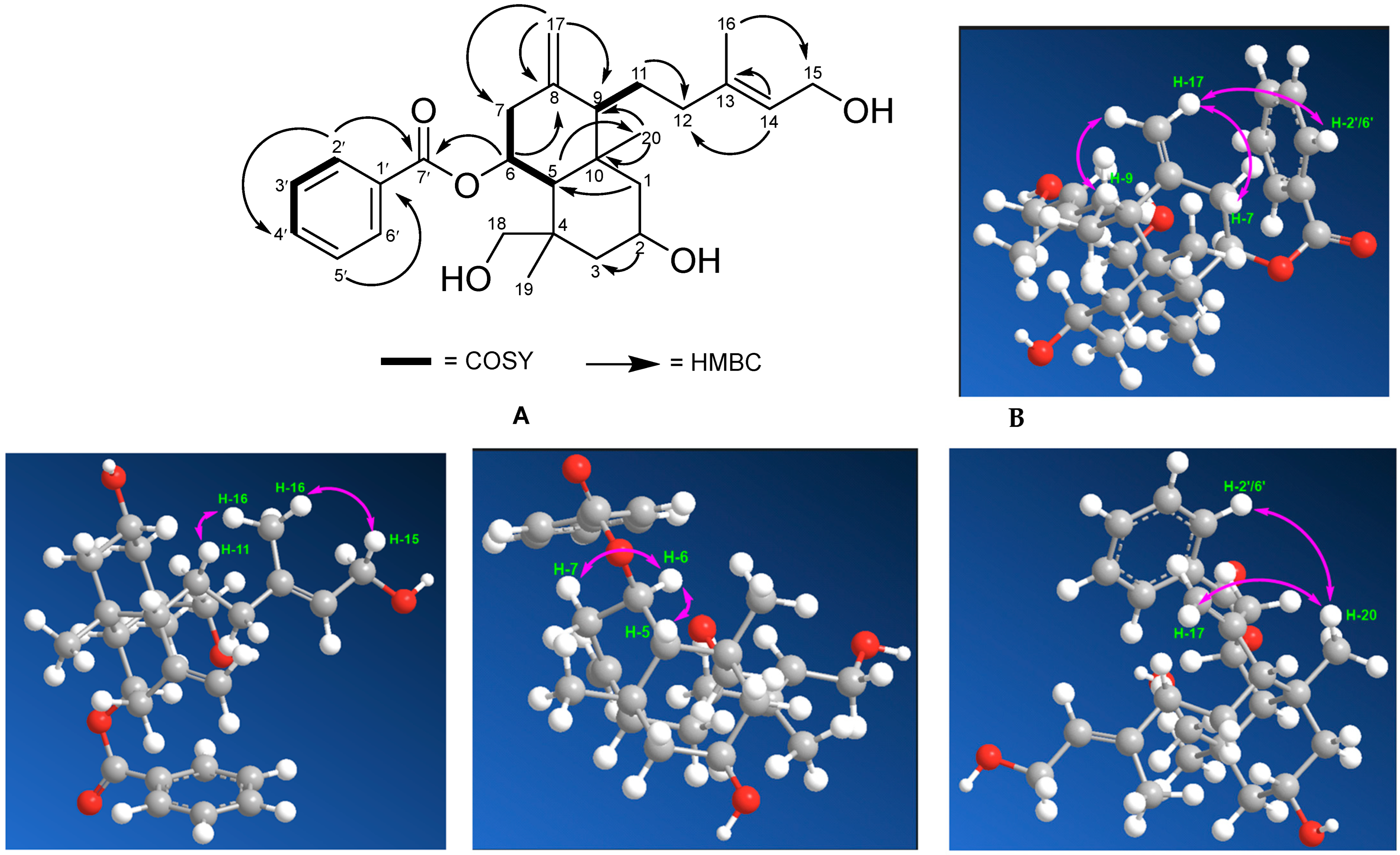 Molecules 28 05960 g003 Molecules 28 05960 g003