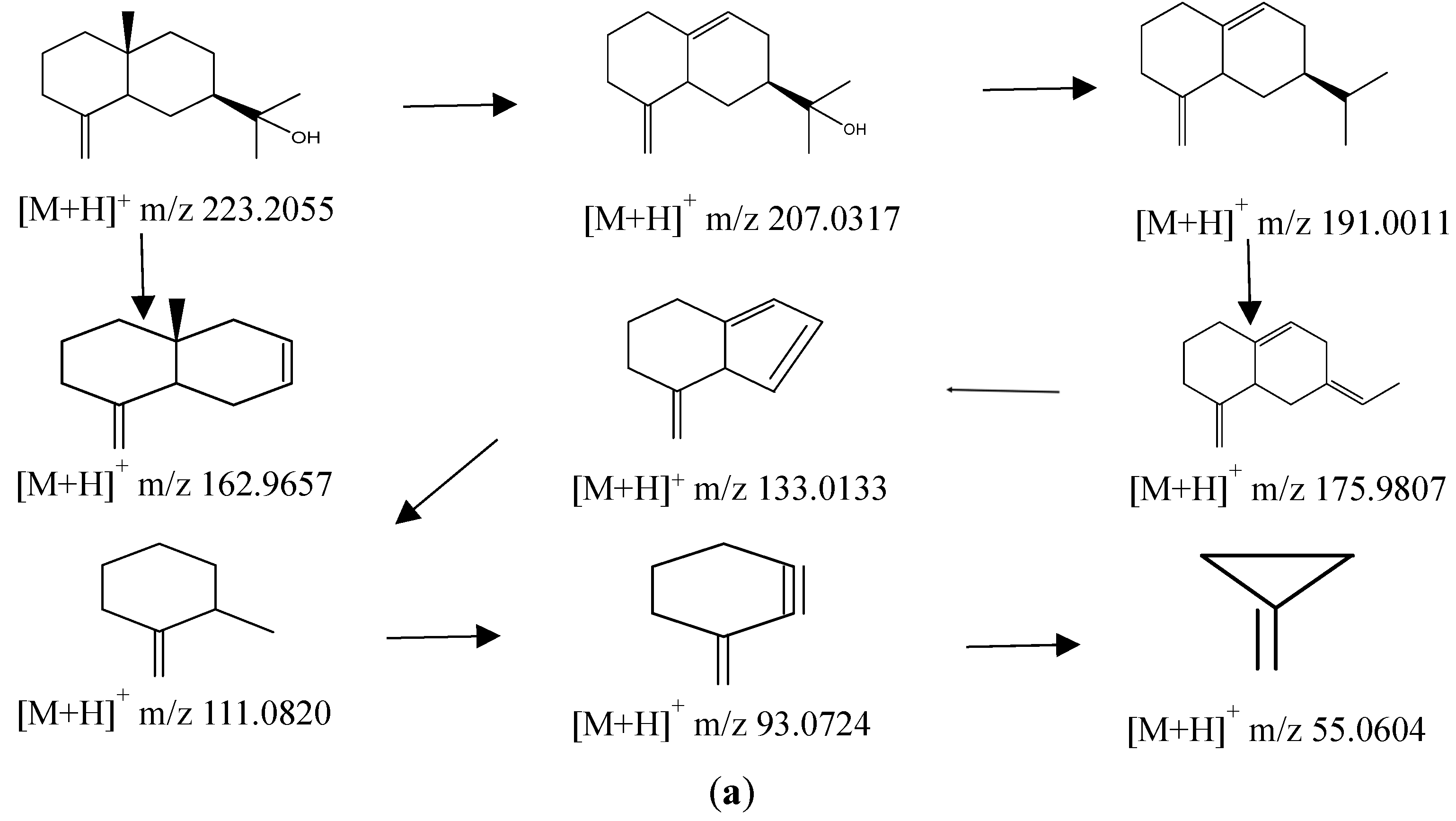 Molecules 28 05974 g005a Molecules 28 05974 g005a