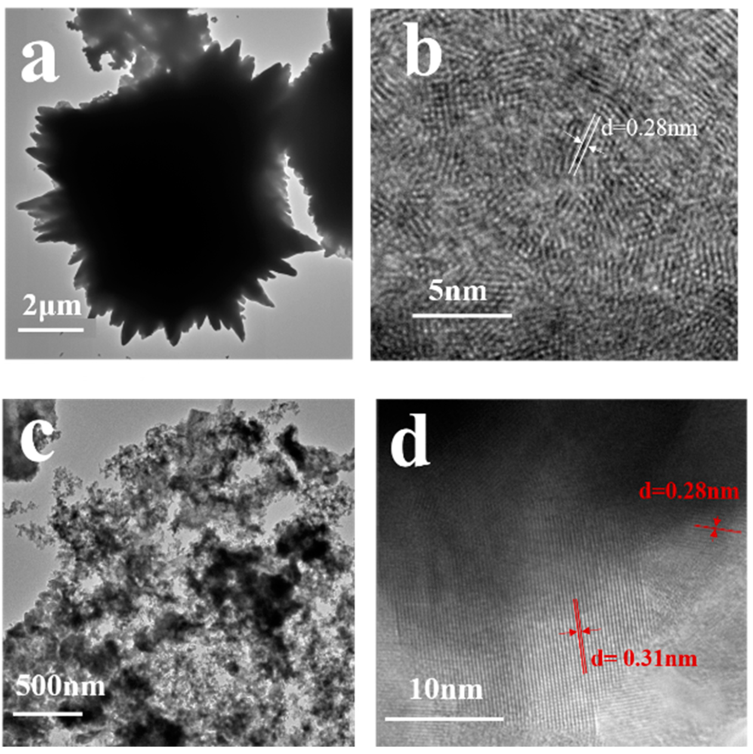 Molecules 28 05988 g003 Molecules 28 05988 g003