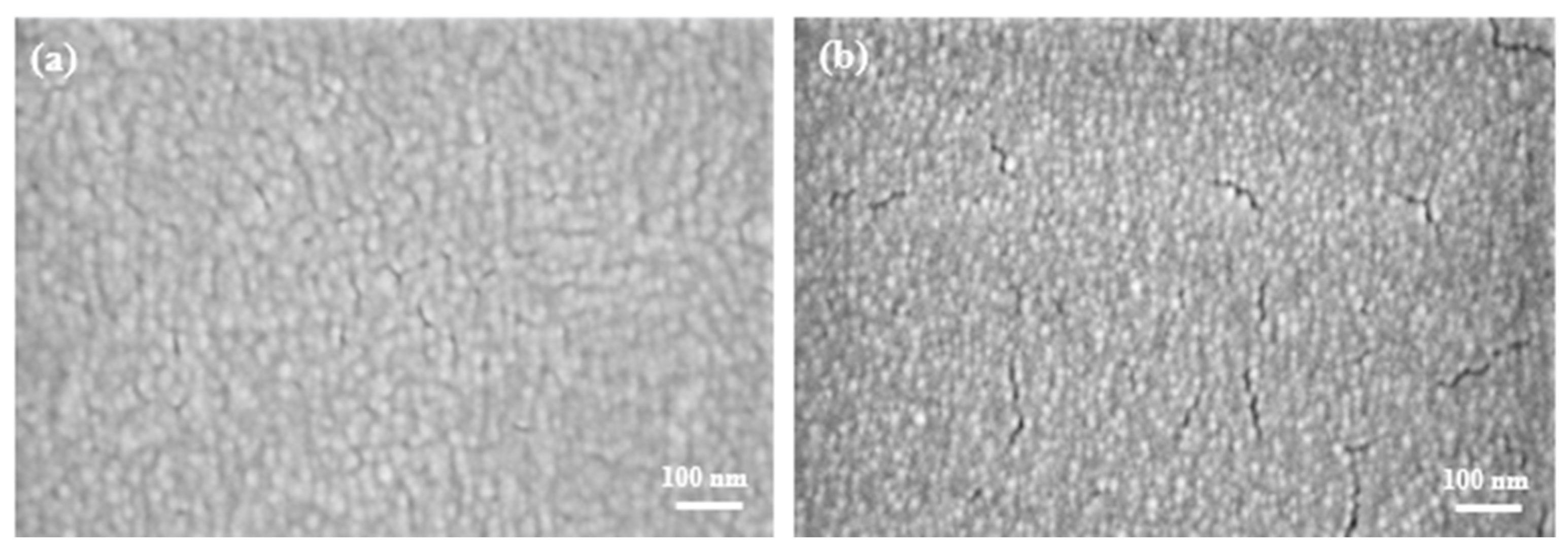 Molecules 28 05989 g005 Molecules 28 05989 g005
