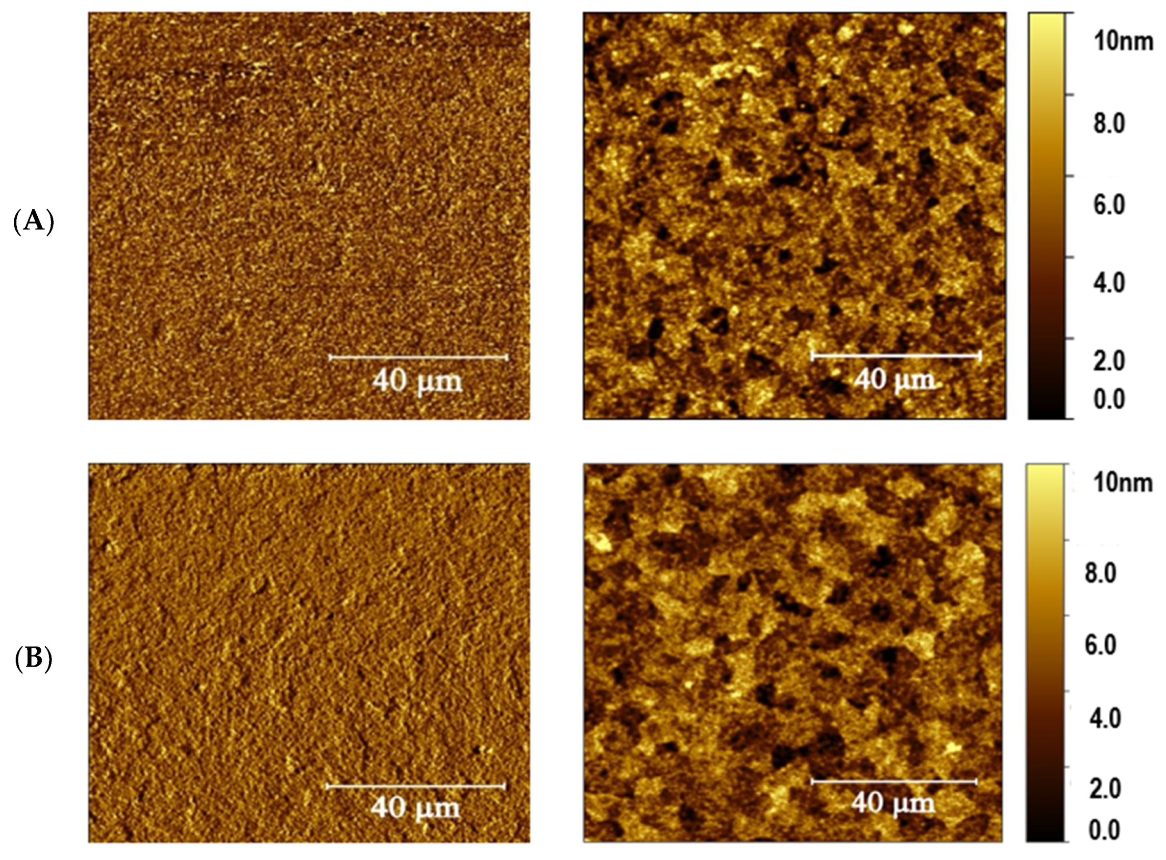 Molecules 28 05989 g006 Molecules 28 05989 g006