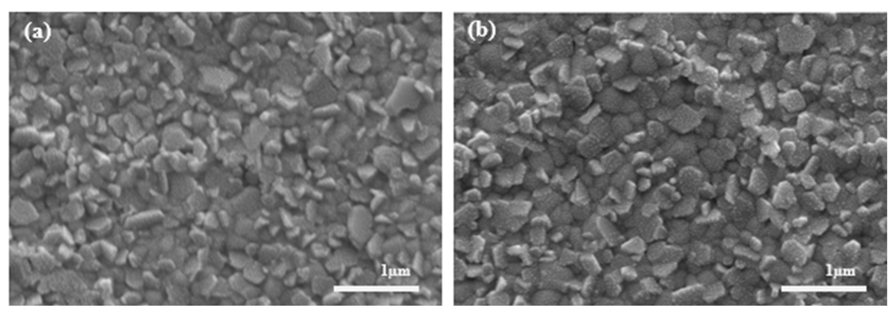 Molecules 28 05989 g008 Molecules 28 05989 g008
