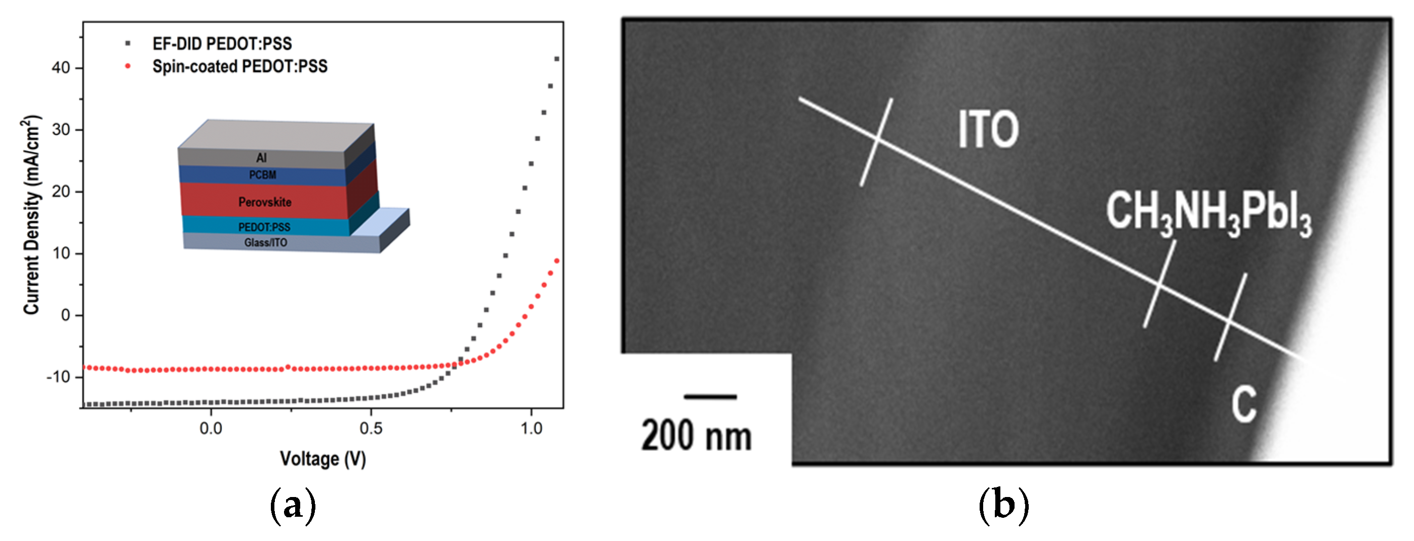 Molecules 28 05989 g009 Molecules 28 05989 g009