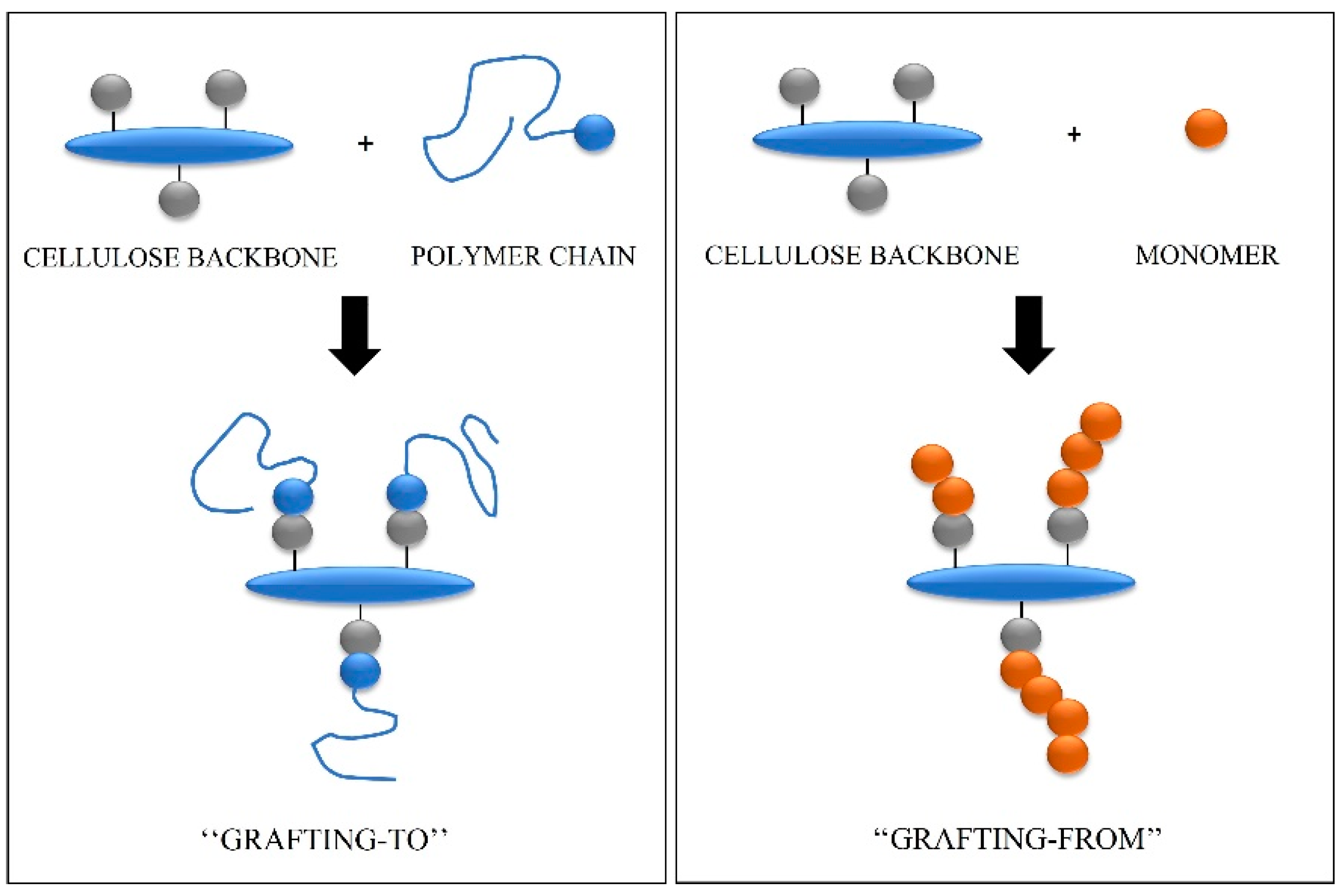 Molecules 28 06030 g006 Molecules 28 06030 g006