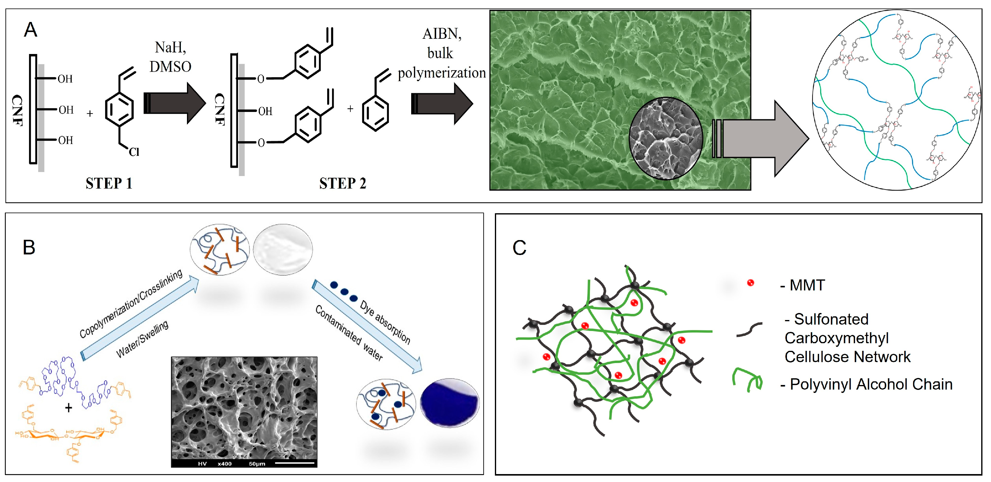 Molecules 28 06030 g007 Molecules 28 06030 g007