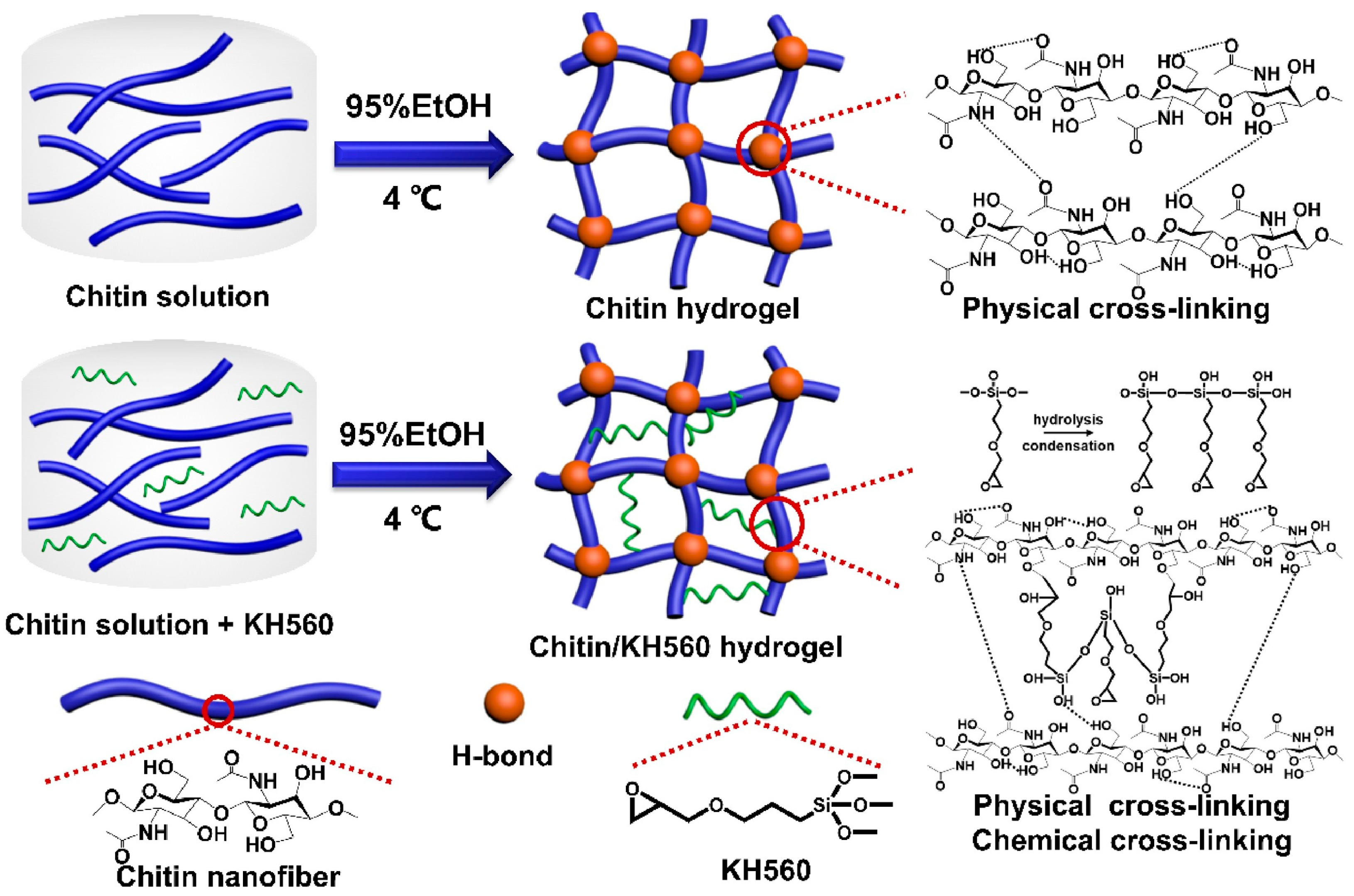 Molecules 28 06030 g012 Molecules 28 06030 g012