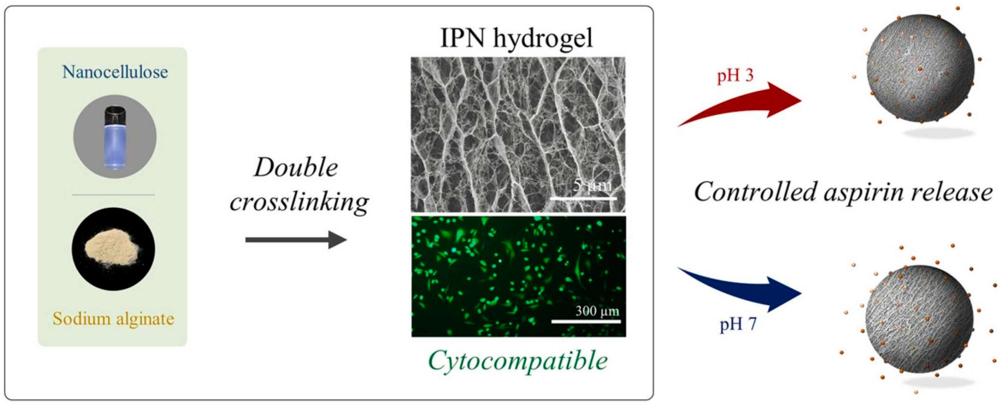 Molecules 28 06030 g018 Molecules 28 06030 g018