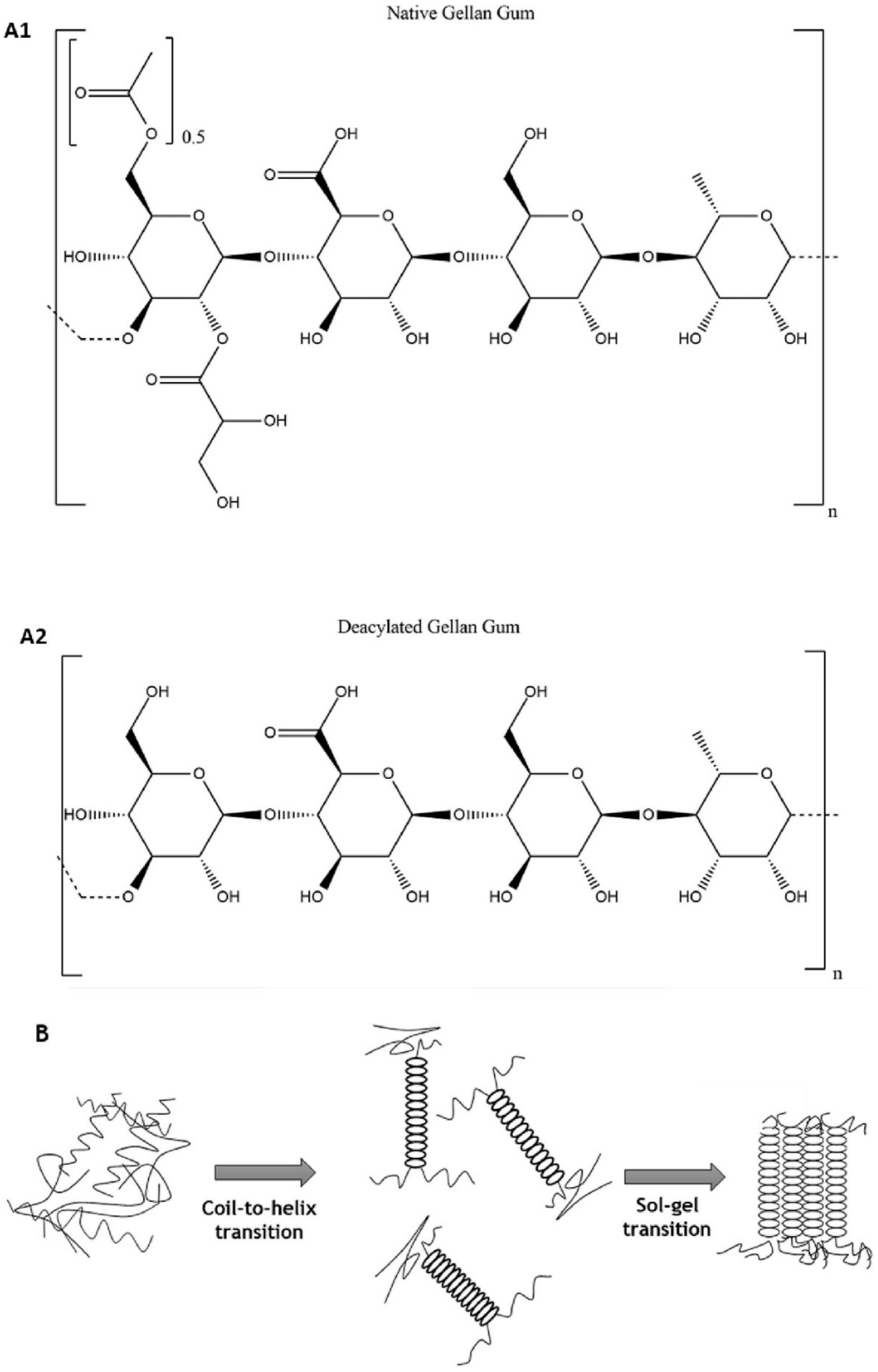Molecules 28 06030 g019 Molecules 28 06030 g019