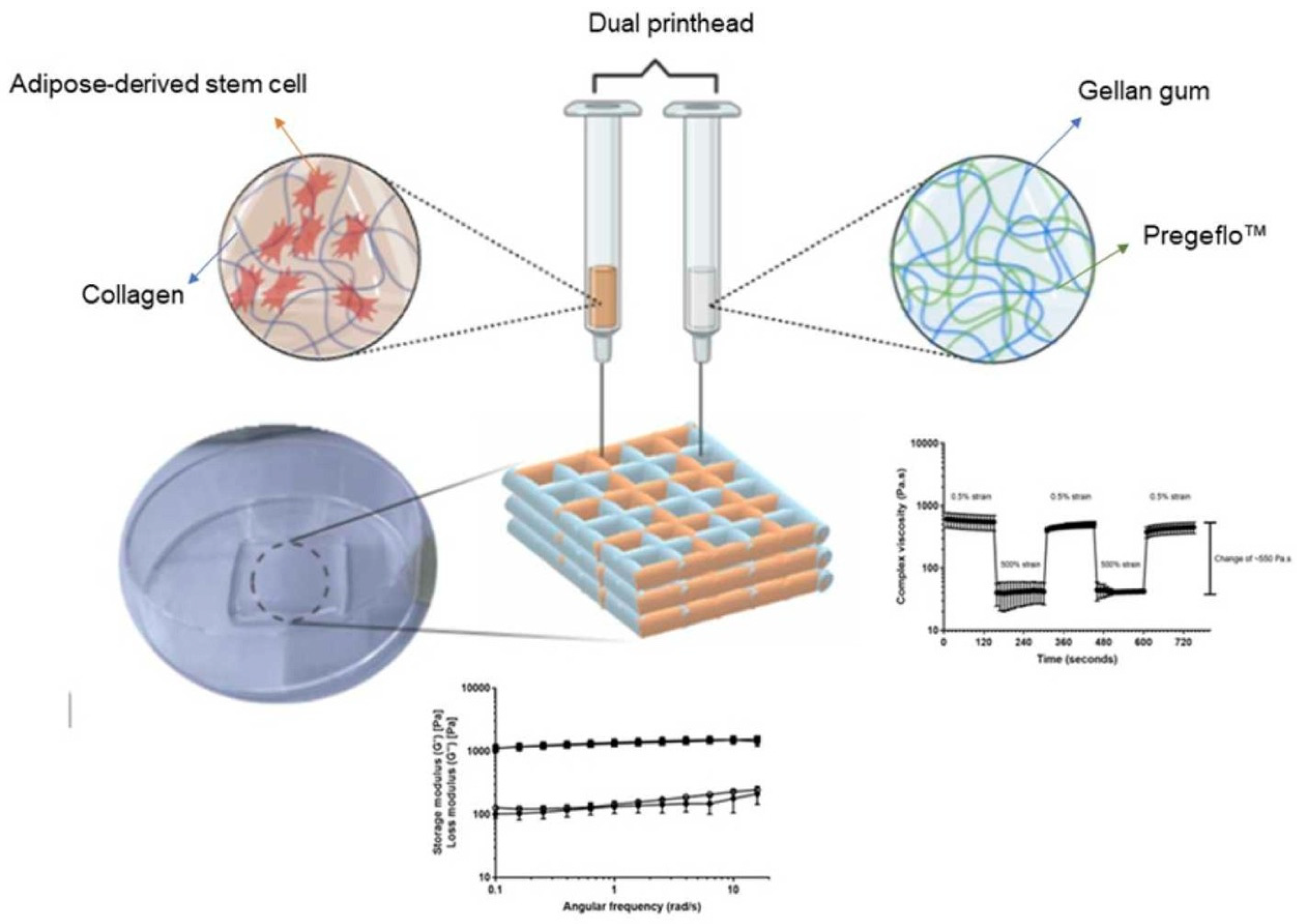Molecules 28 06030 g022 Molecules 28 06030 g022