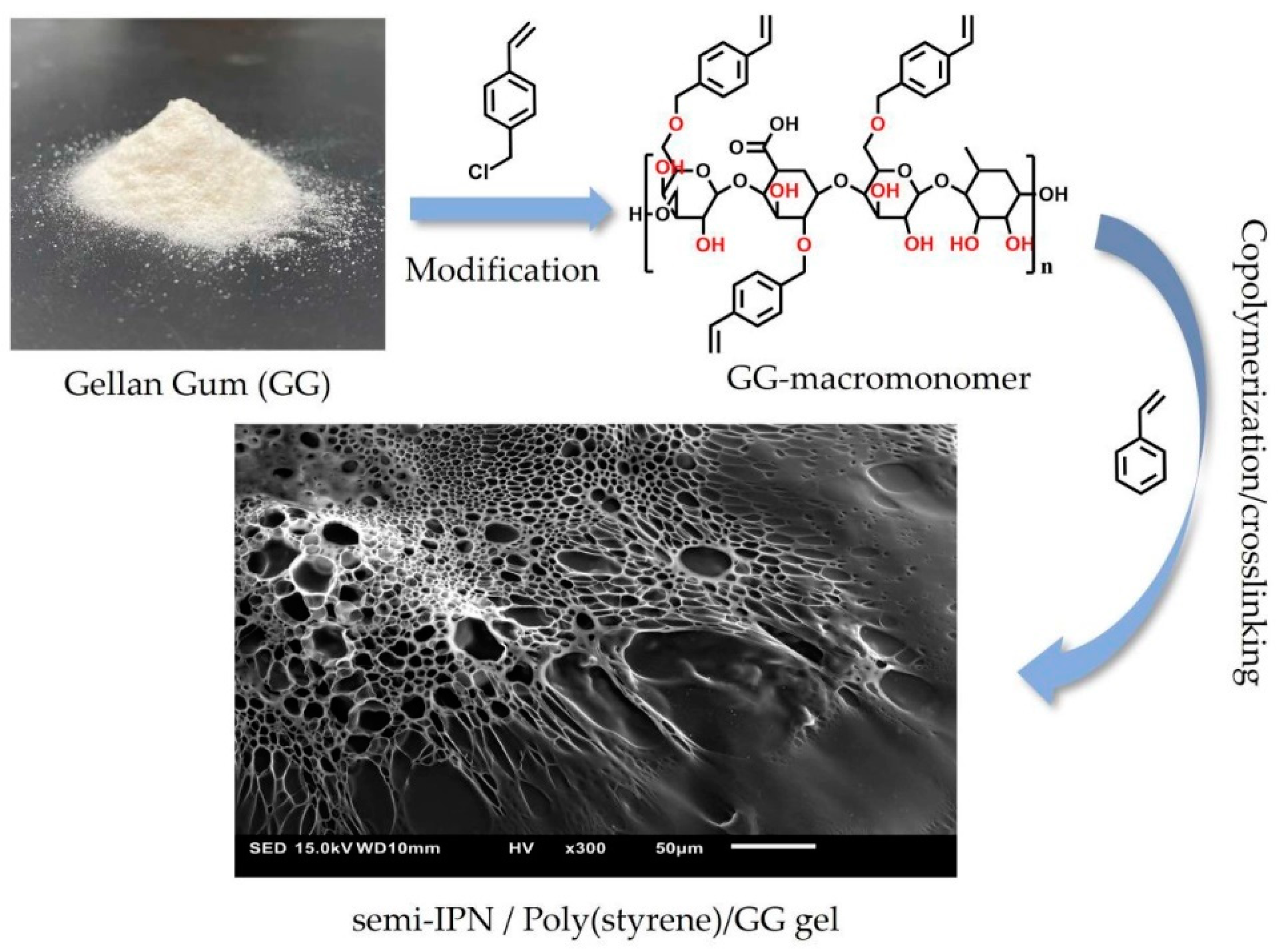 Molecules 28 06030 g023 Molecules 28 06030 g023