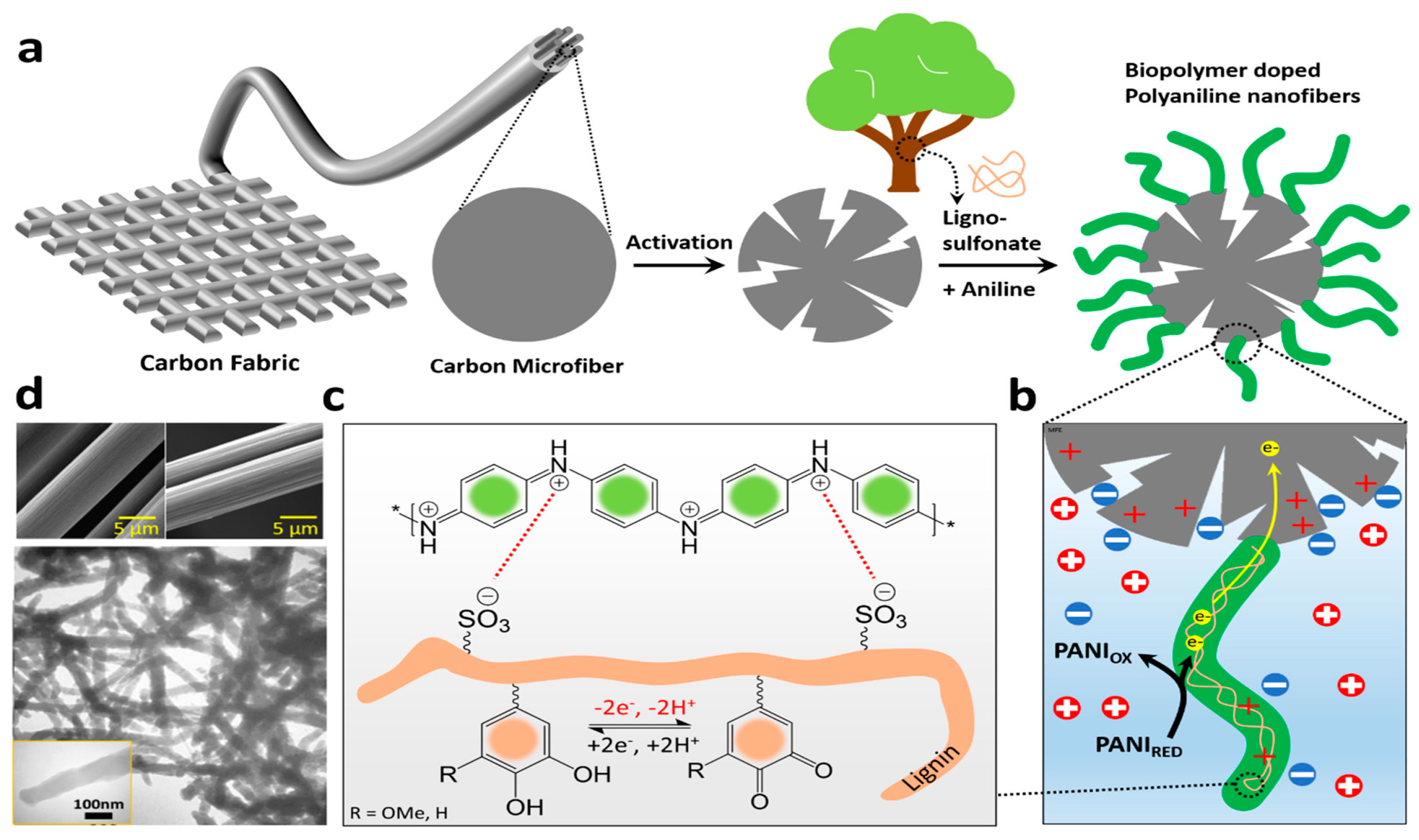 Molecules 28 06030 g026 Molecules 28 06030 g026