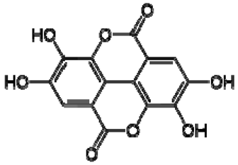 Molecules 28 06036 i014