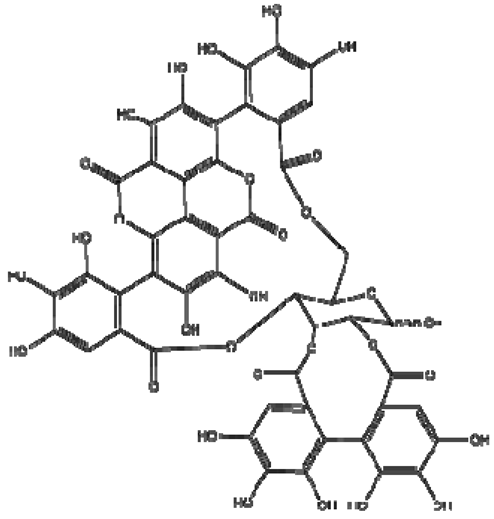 Molecules 28 06036 i015