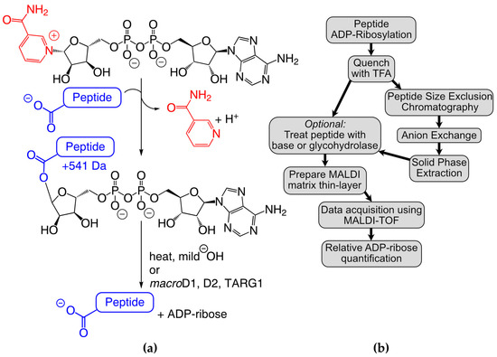 Molecules | Free Full-Text | Using TLC-MALDI-TOF to Interrogate In