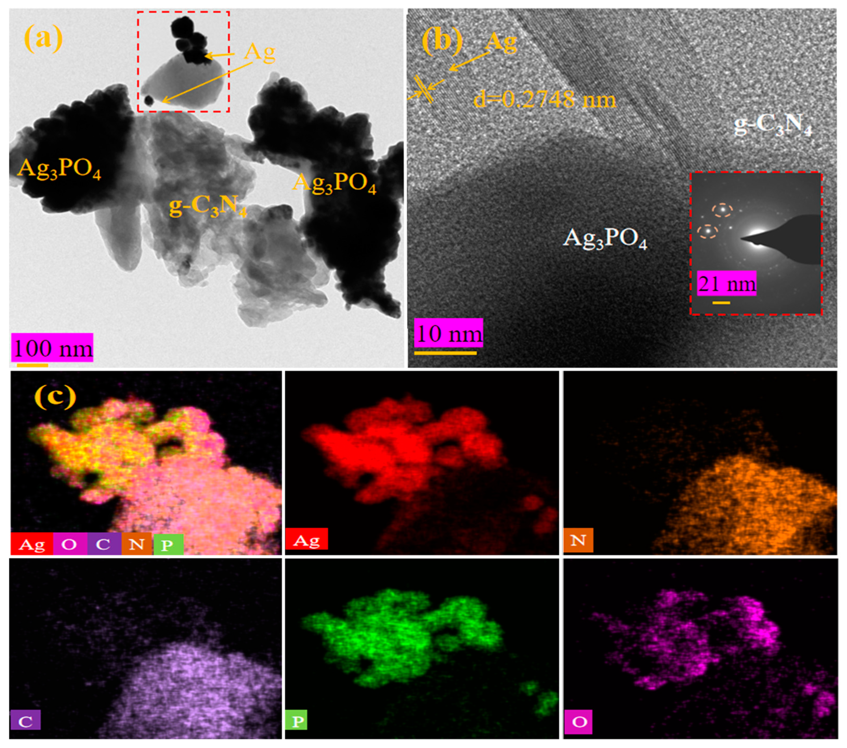 Molecules 28 06082 g002