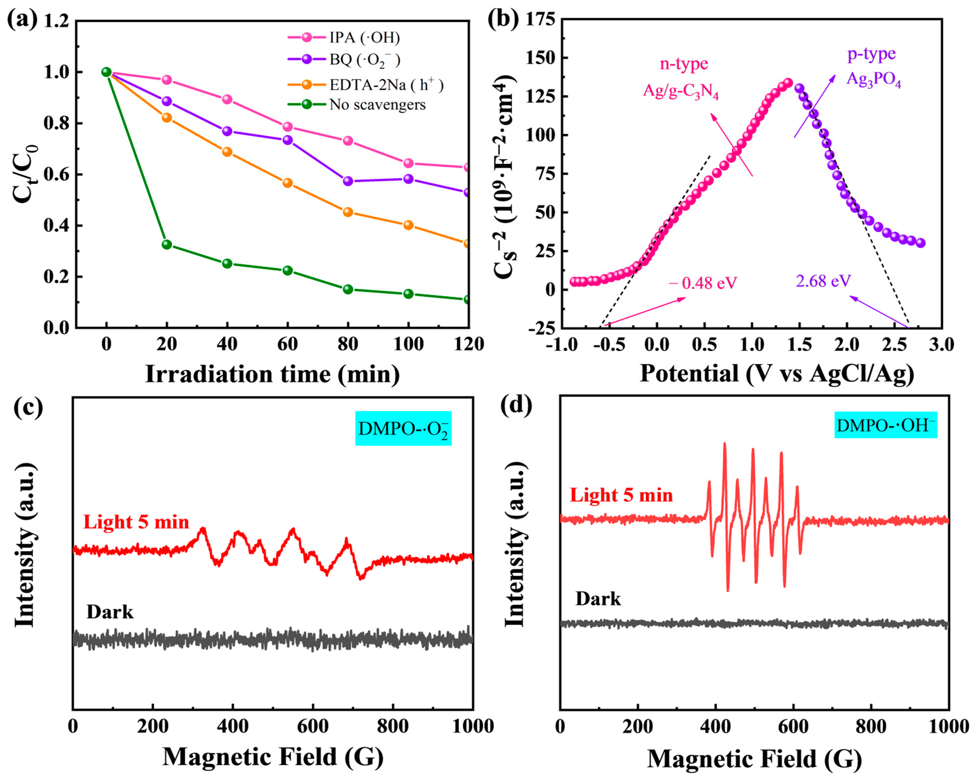 Molecules 28 06082 g006