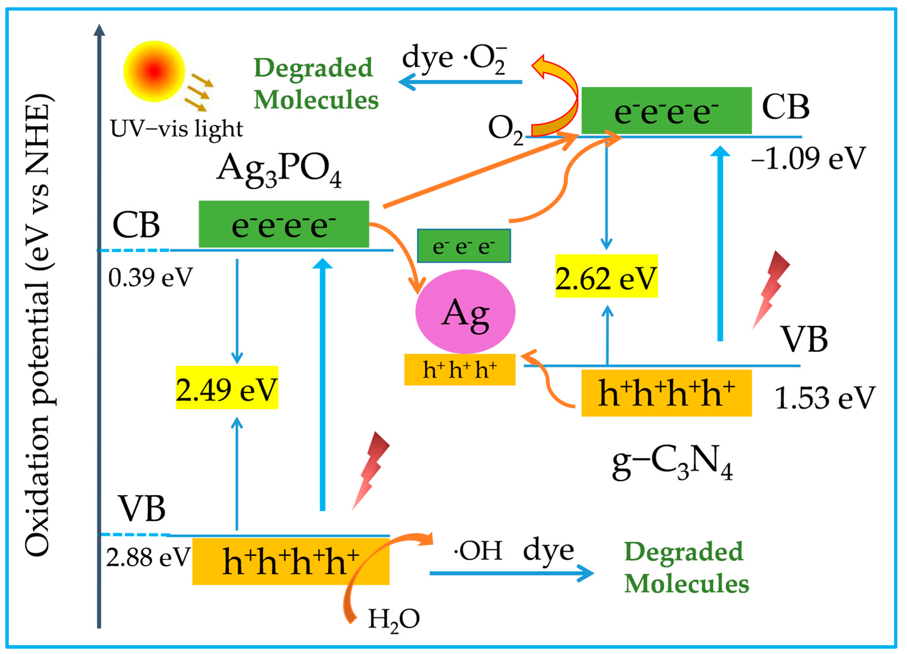 Molecules 28 06082 g008