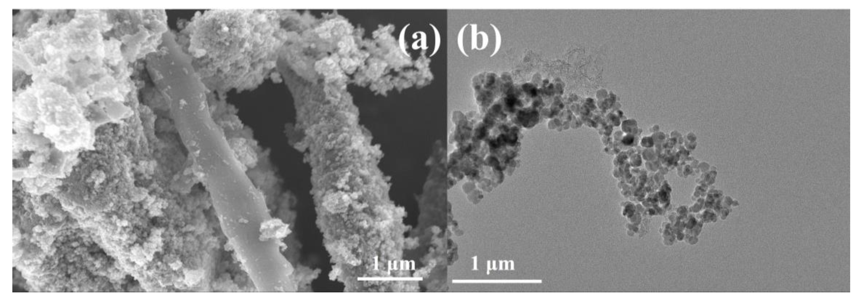 Molecules 28 06117 g007