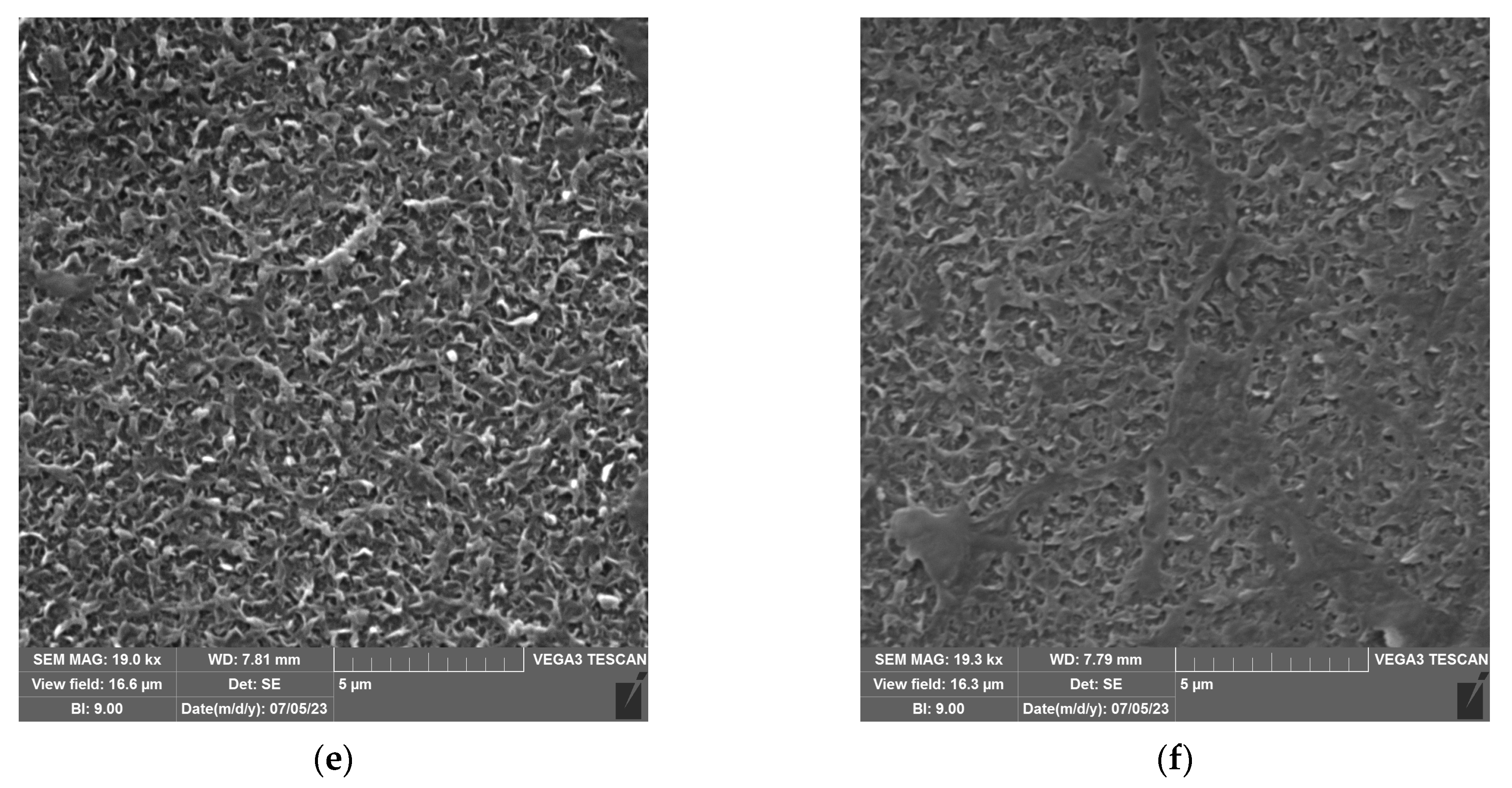 Molecules 28 06124 g010b