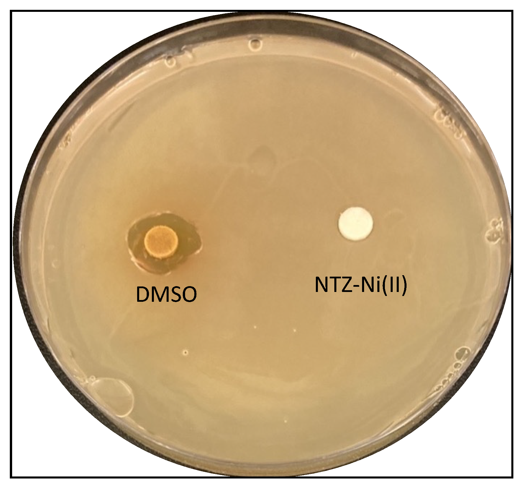 Molecules 28 06126 g010