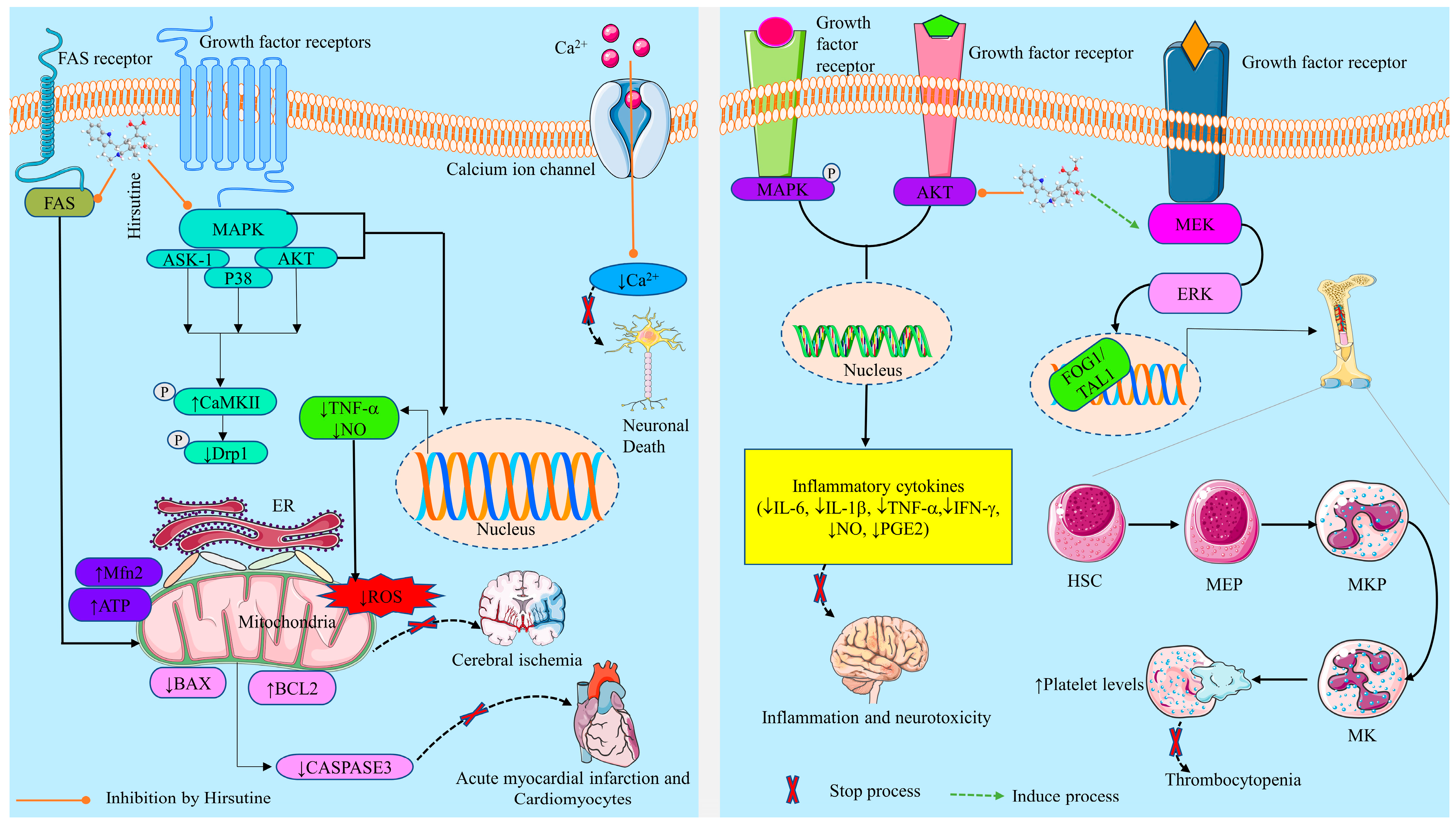 Molecules 28 06141 g002