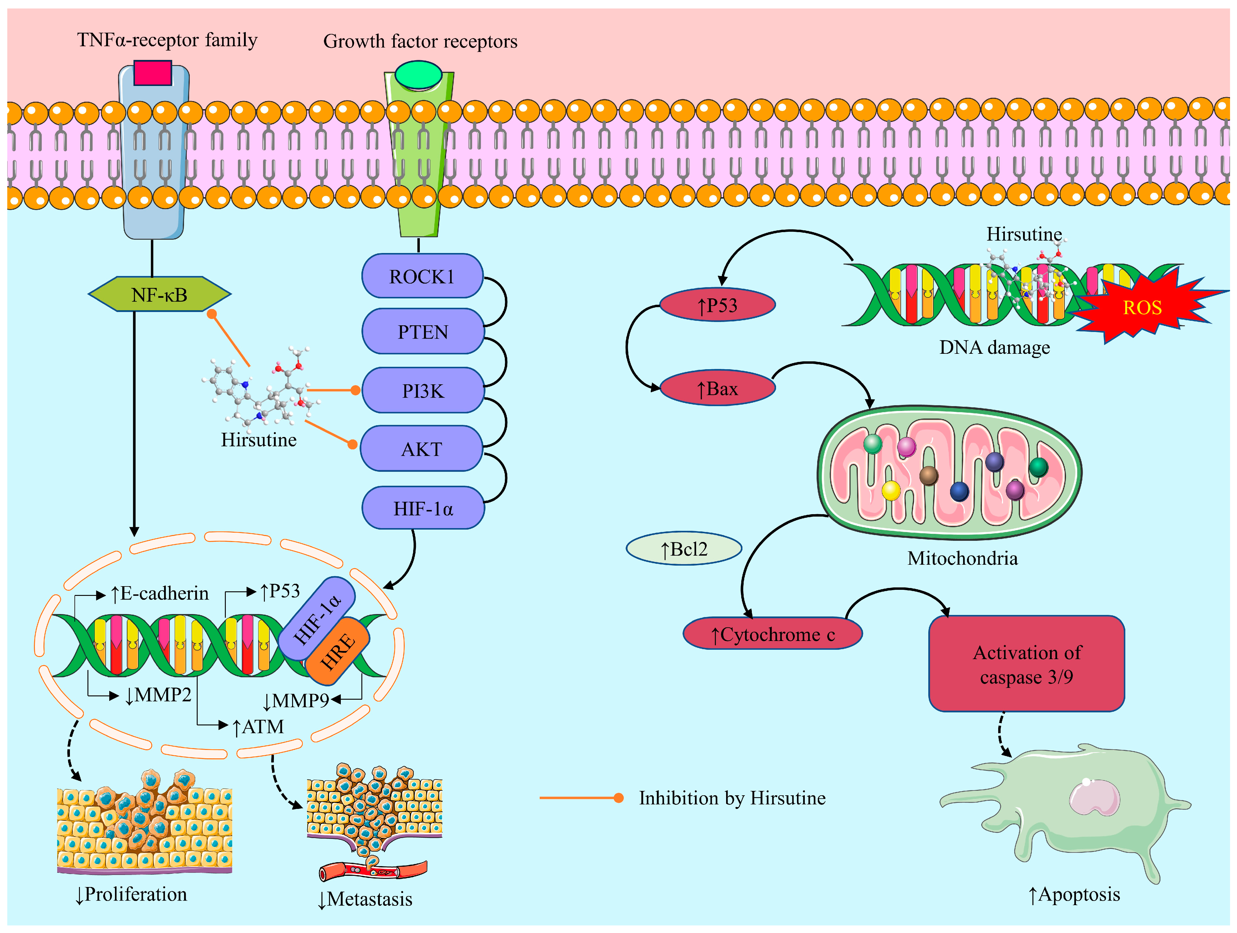 Molecules 28 06141 g003