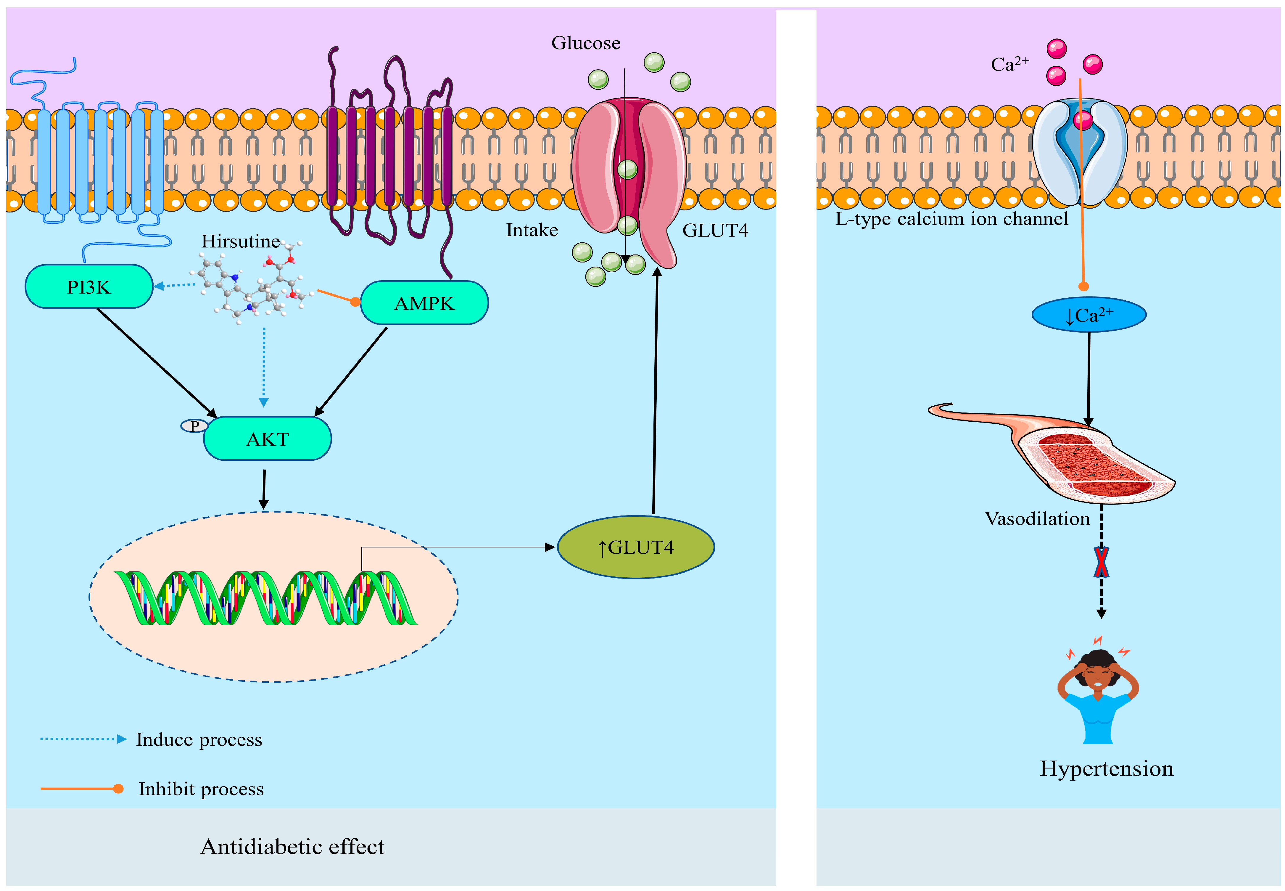 Molecules 28 06141 g004