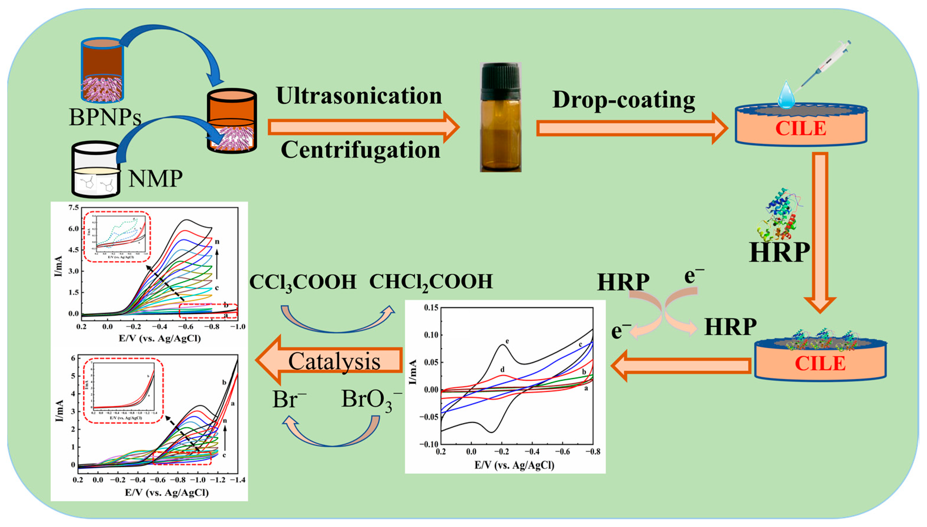 Molecules 28 06151 sch001