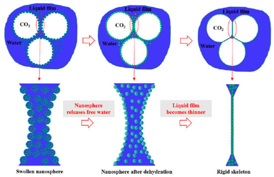 Molecules, Free Full-Text