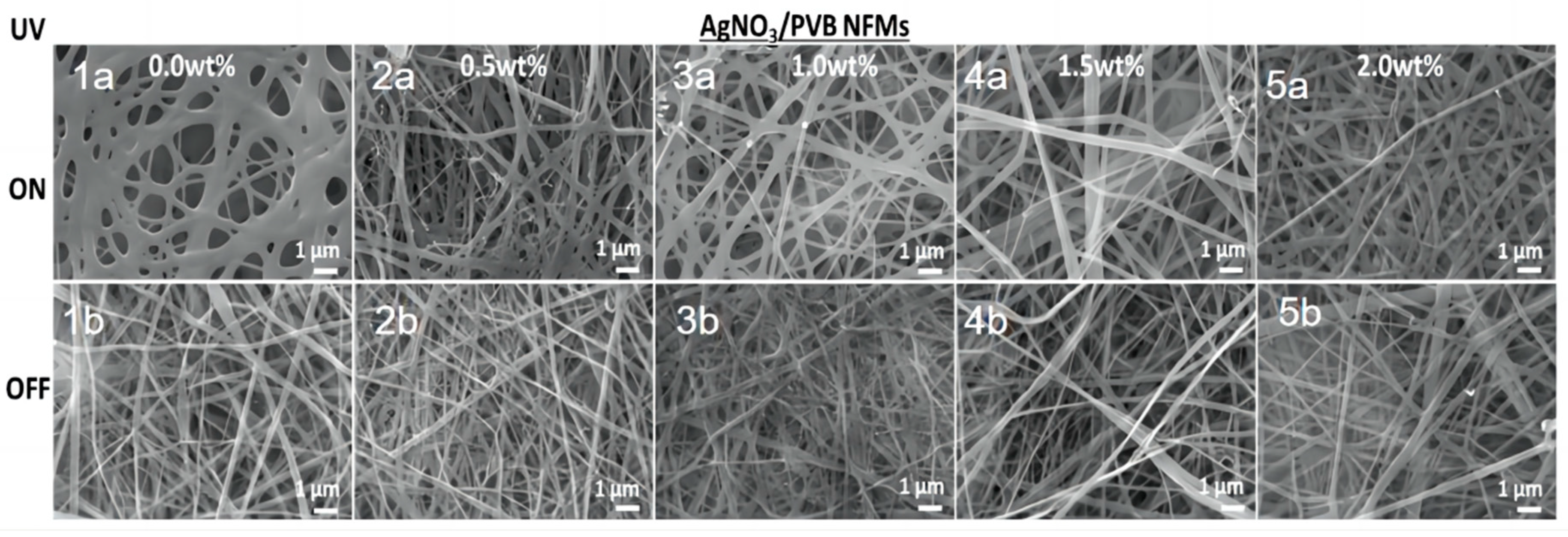 Molecules 28 06157 g001 Molecules 28 06157 g001